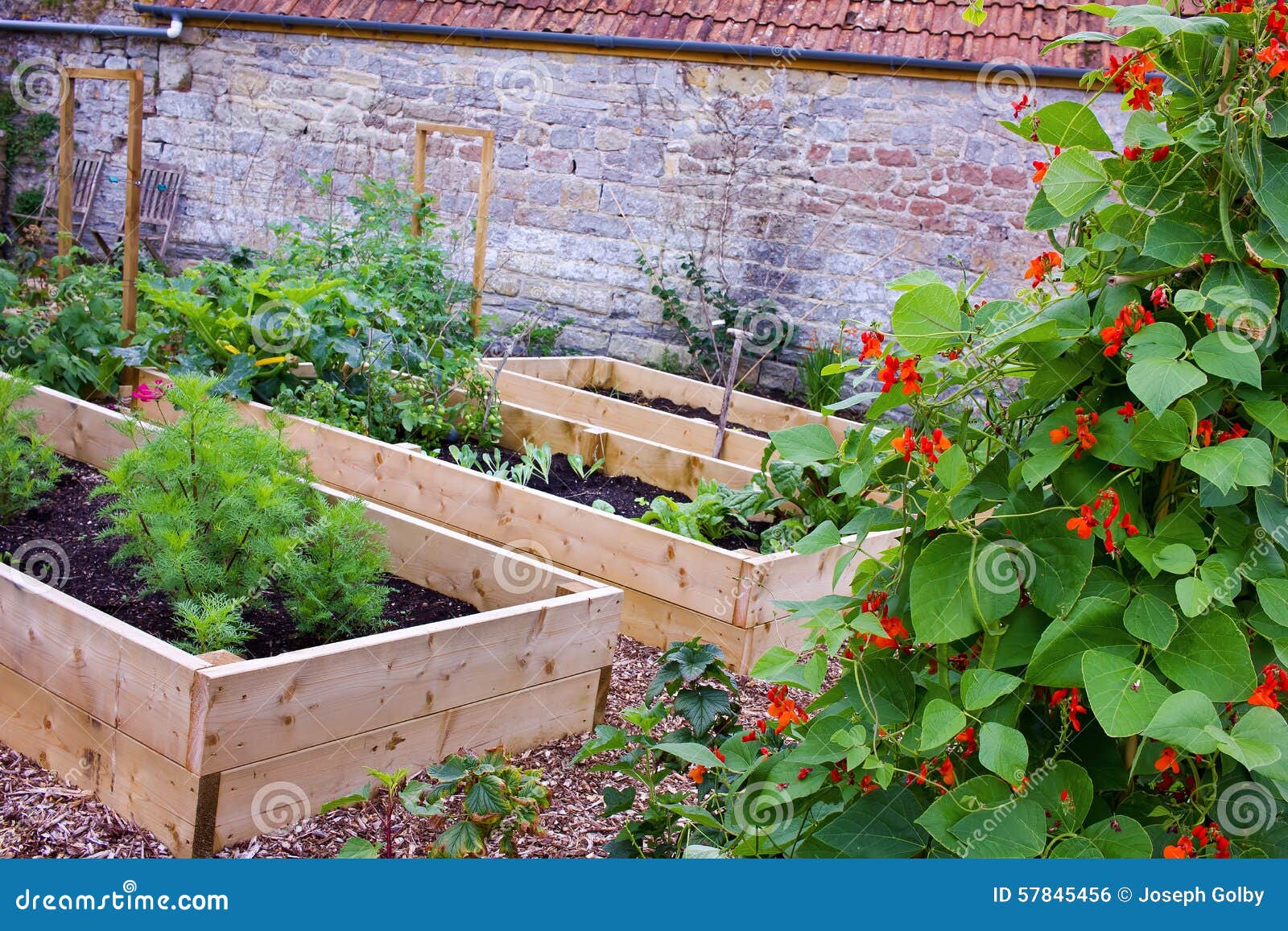 48+ Gemuese Mit U, Hier stellen wir dir 30 spannende lebensmittel