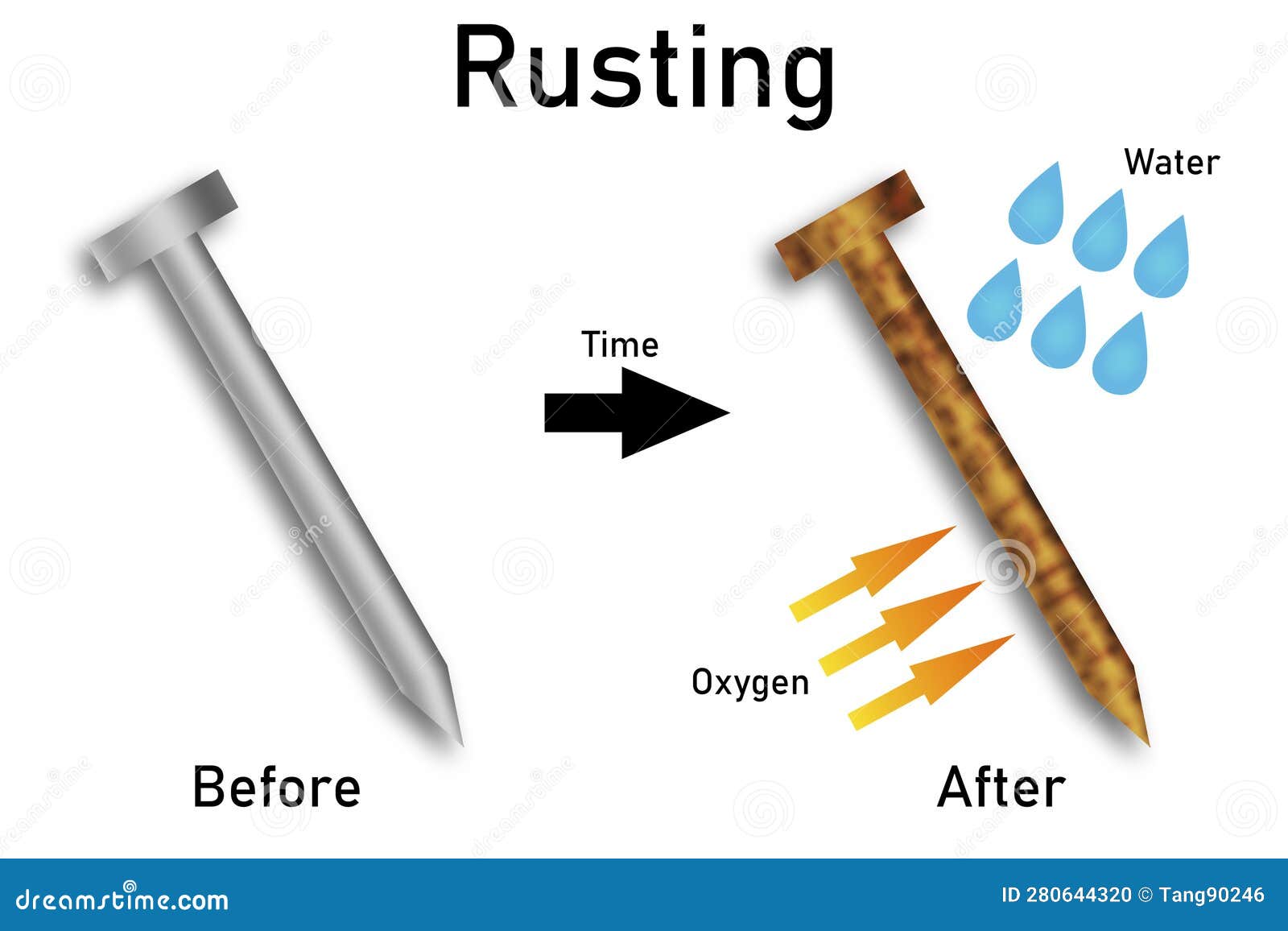What causes rusting of iron? Design an activity to show the conditions  needed for iron nails to rust.