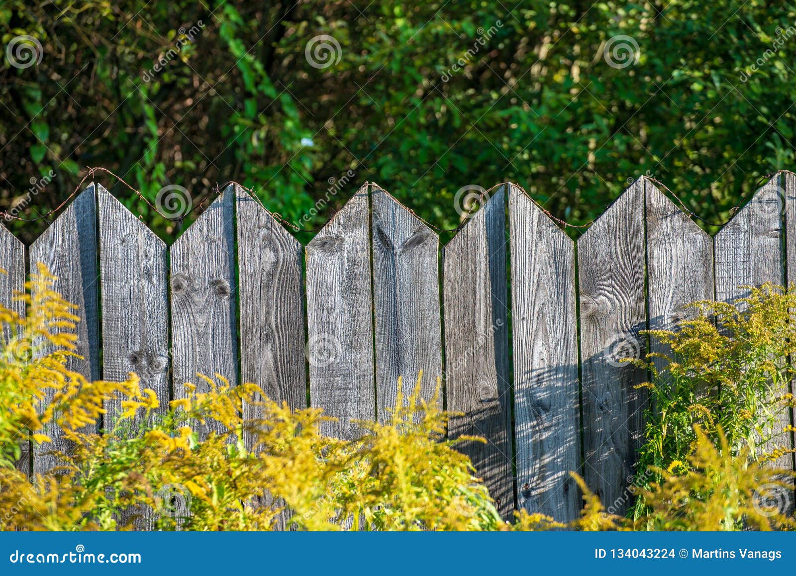 212 Barbed Wire Top Old Wall Photos - Free  Royalty-Free Stock Photos from  Dreamstime