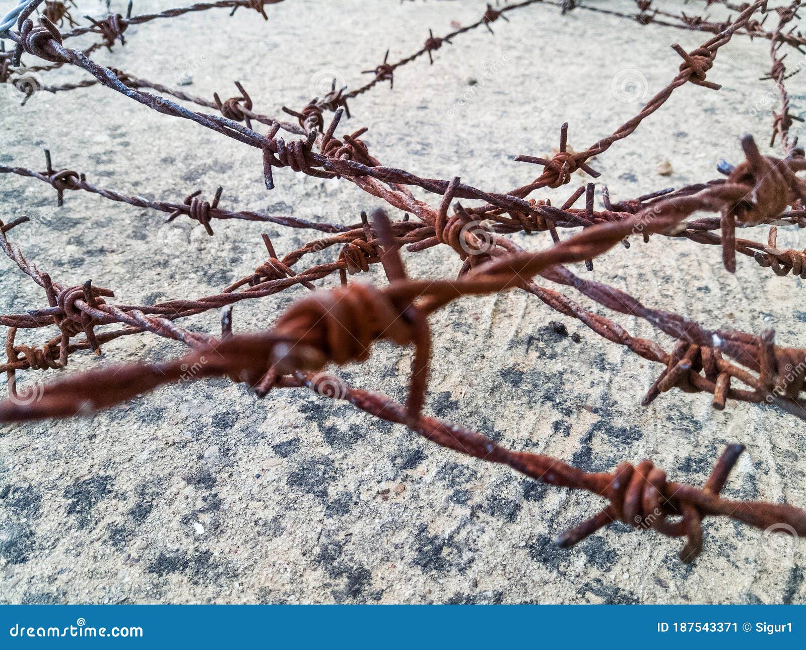 rusty barbed wires