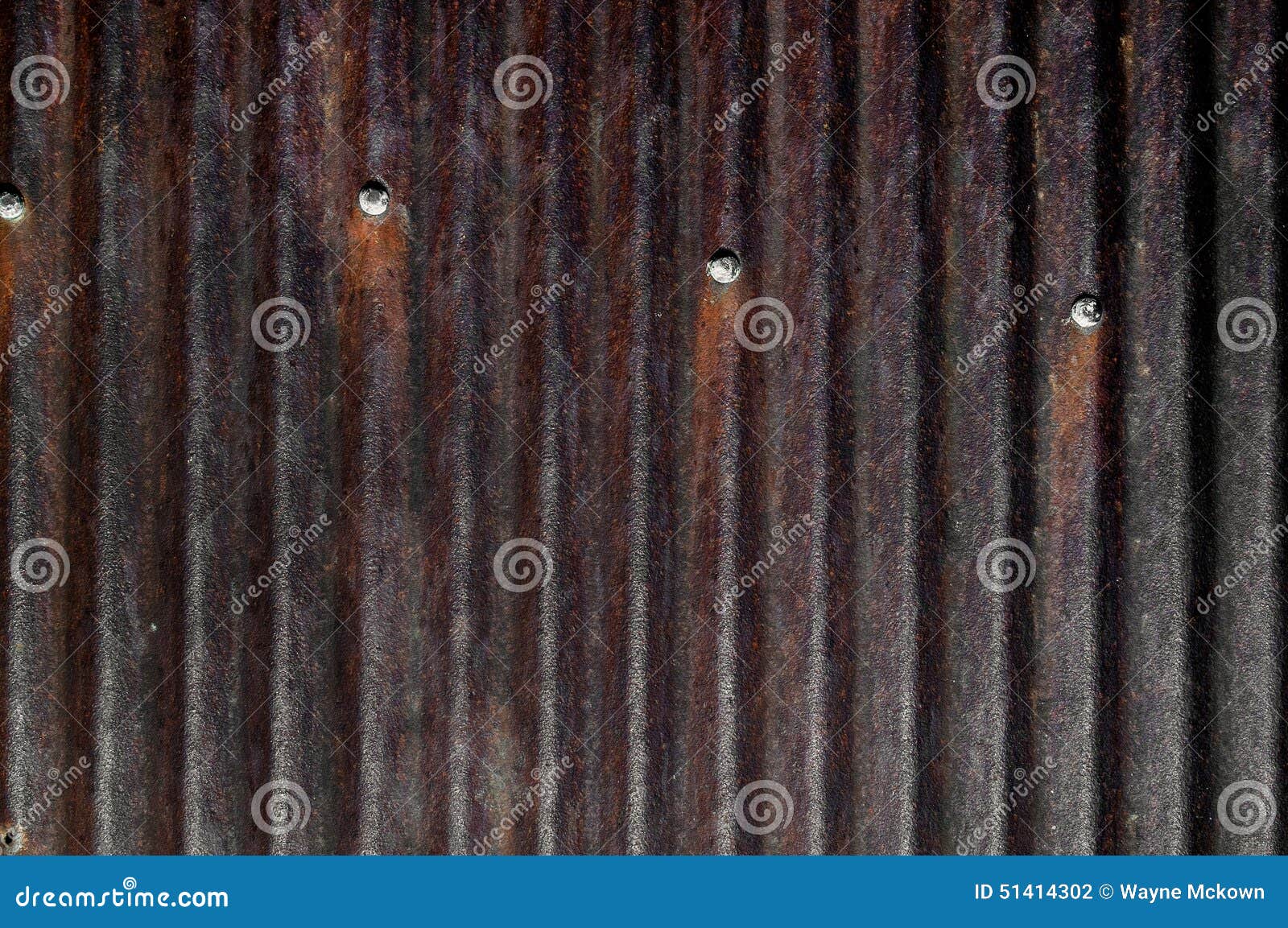 Rusty Corrugated Tin,barn,roof,nails Stock Photo Image of retro