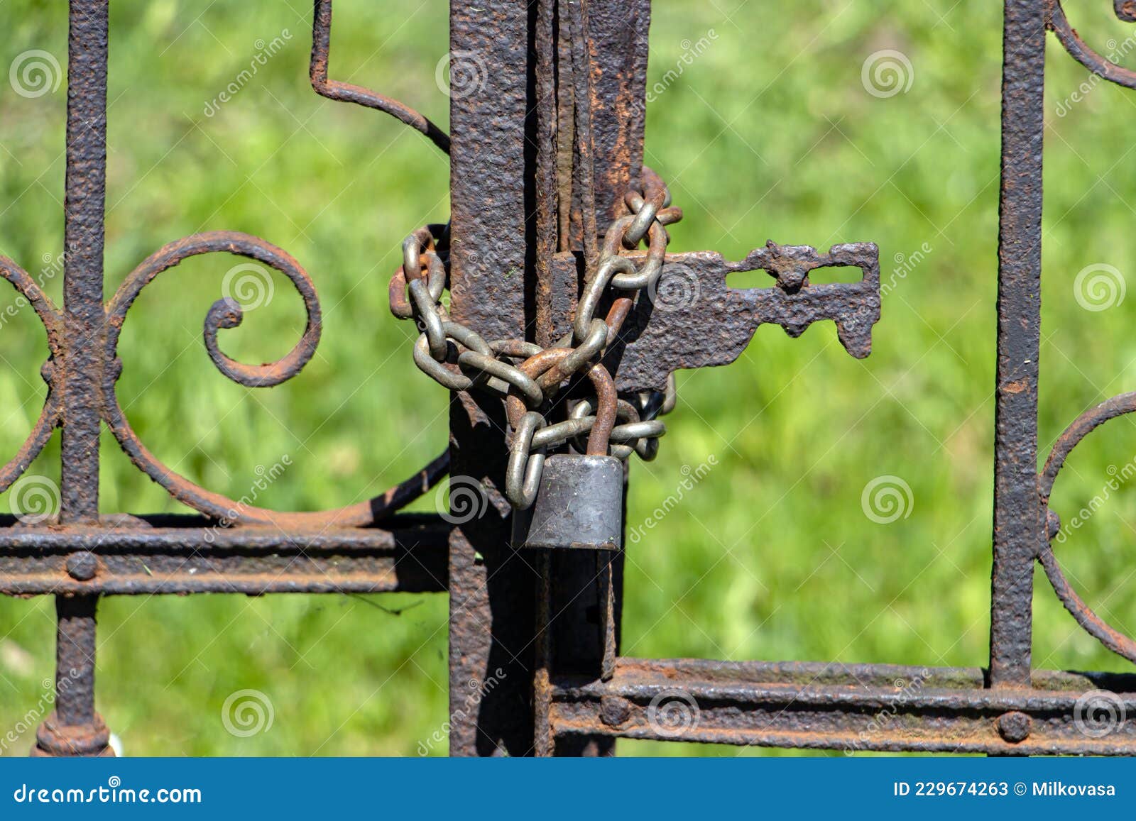 The Rusty Gate is Locked with a Padlock with a Chain Stock Image ...