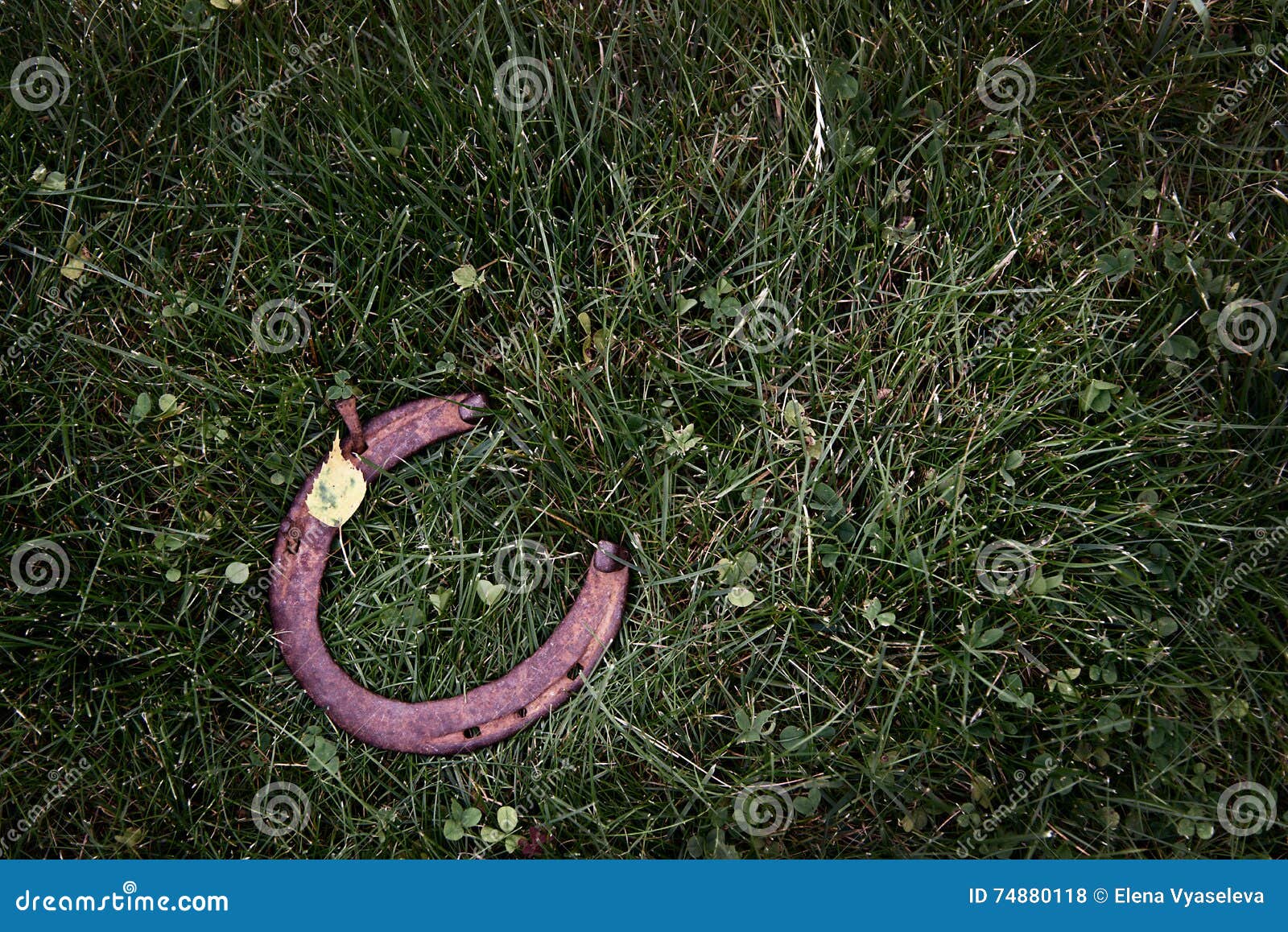 Rusty horseshoe on green grass background. Rusty horseshoe on a grass background - rustic scene in a country style. Old iron Horseshoe - good luck symbol and mascot of well-being in a village house in Western culture.