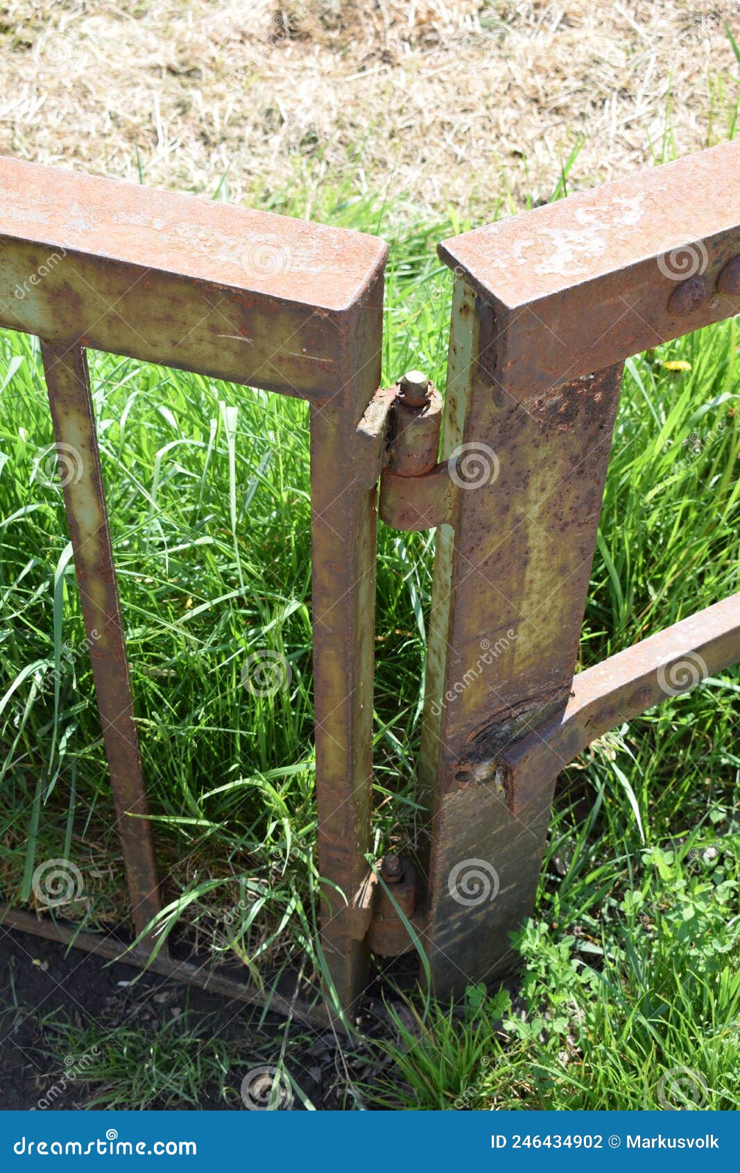 Rusty gate stock photo. Image of soil, backyard, tree 246434902
