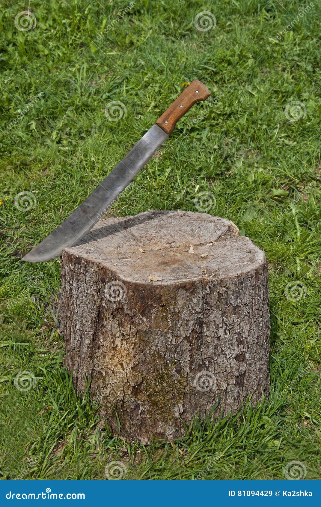 Rusty Machete Stuck in Stump Stock Image Image of long, nature 81094429