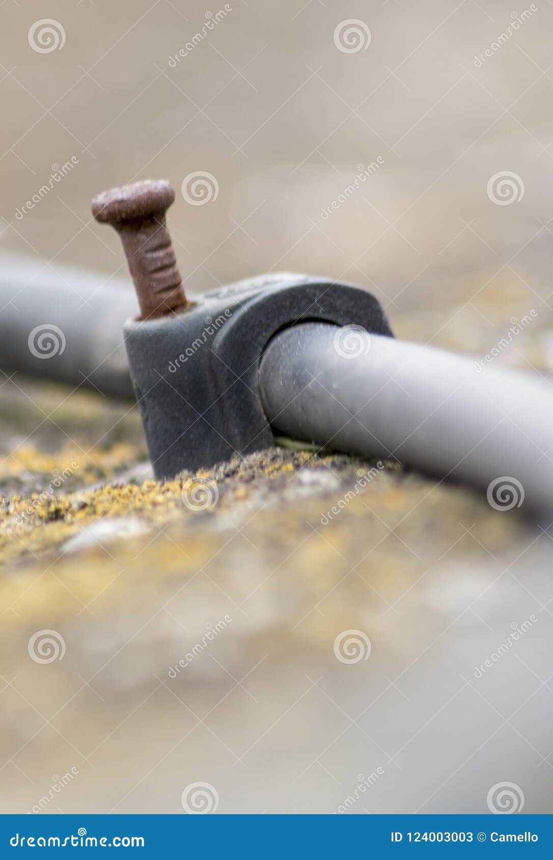 Rusty Nail Holding a Coaxial Cable Stock Image Image of wired