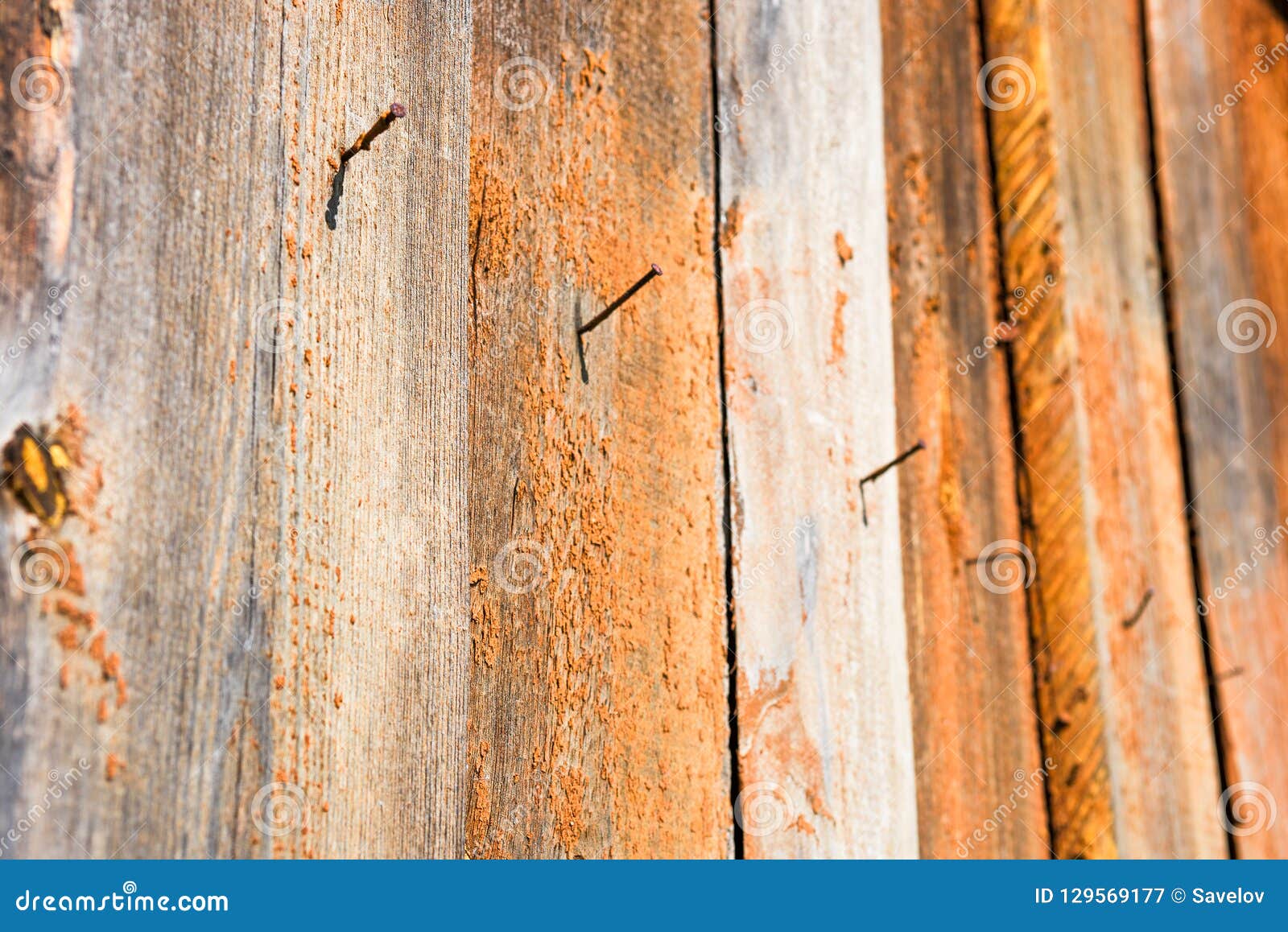 rusty nails protrude from wooden planks, soft focus