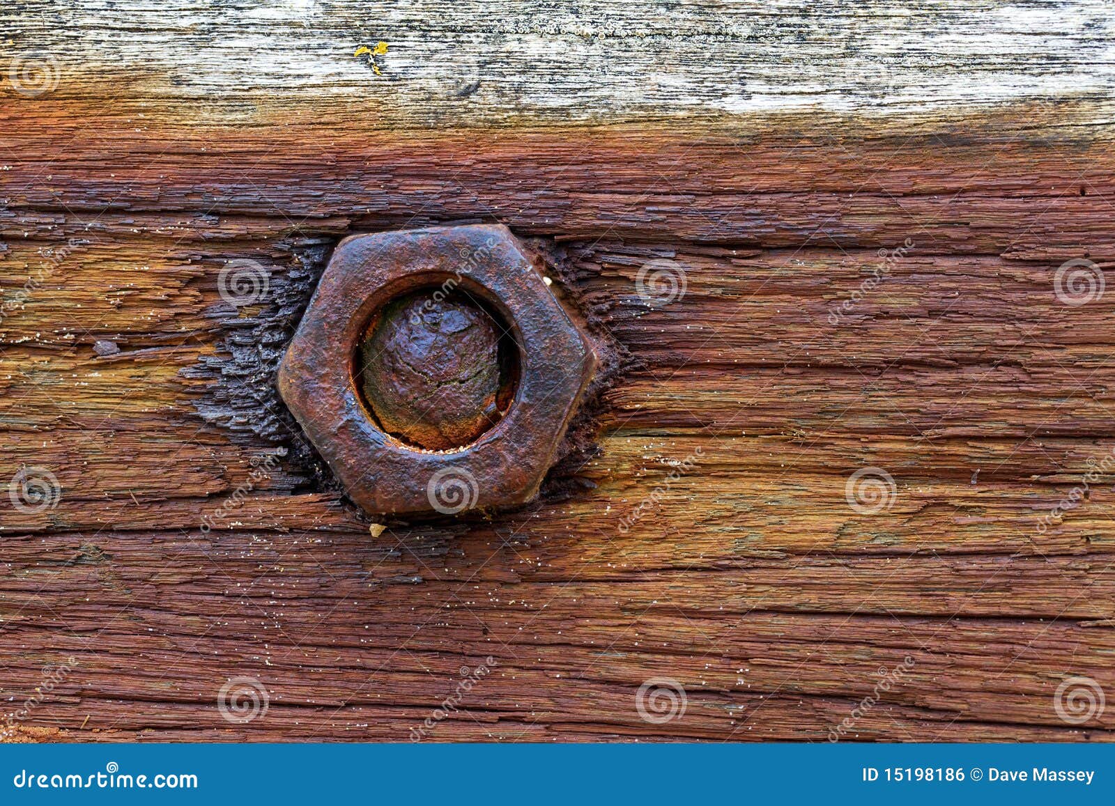 Rusty nut and bolt on wood stock photo. Image of background 15198186