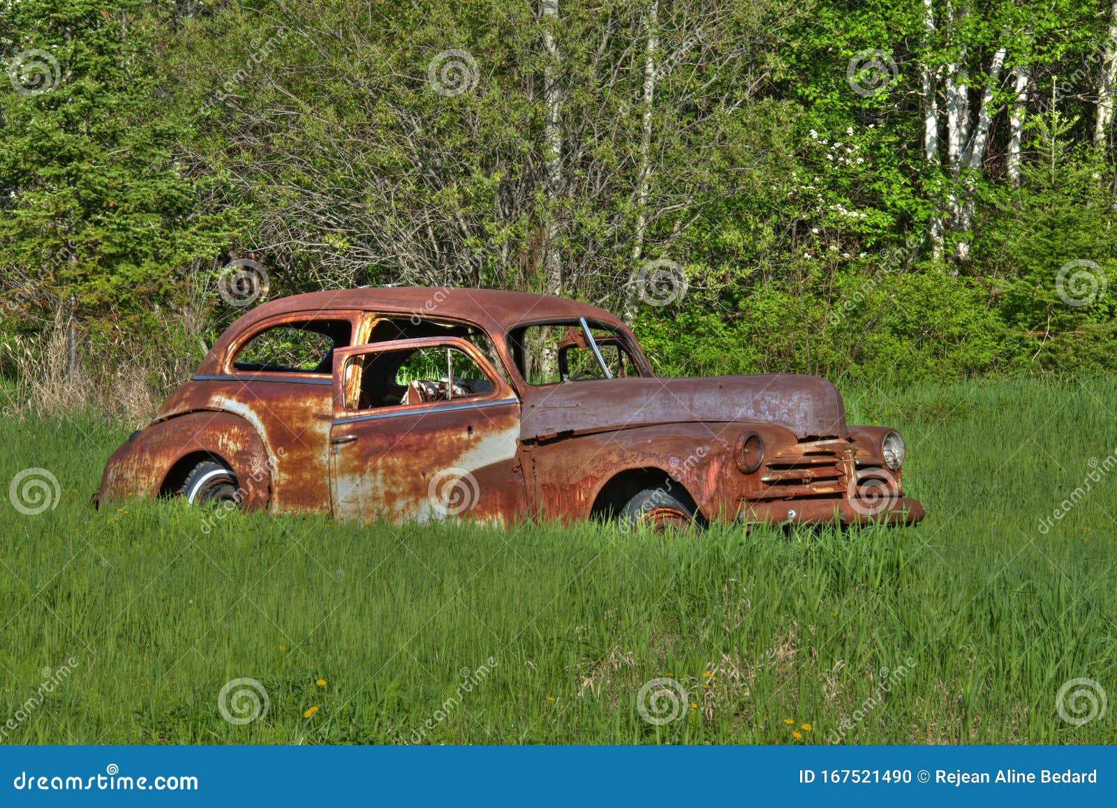 HDR Photo. Old Car Sitting in a Field with Evergreen Background and Foliage  . Car Old in HDR Photo. HDR Image. HDR Photo. HDR Stock Photo - Image of  rusty, phcar: 167521490