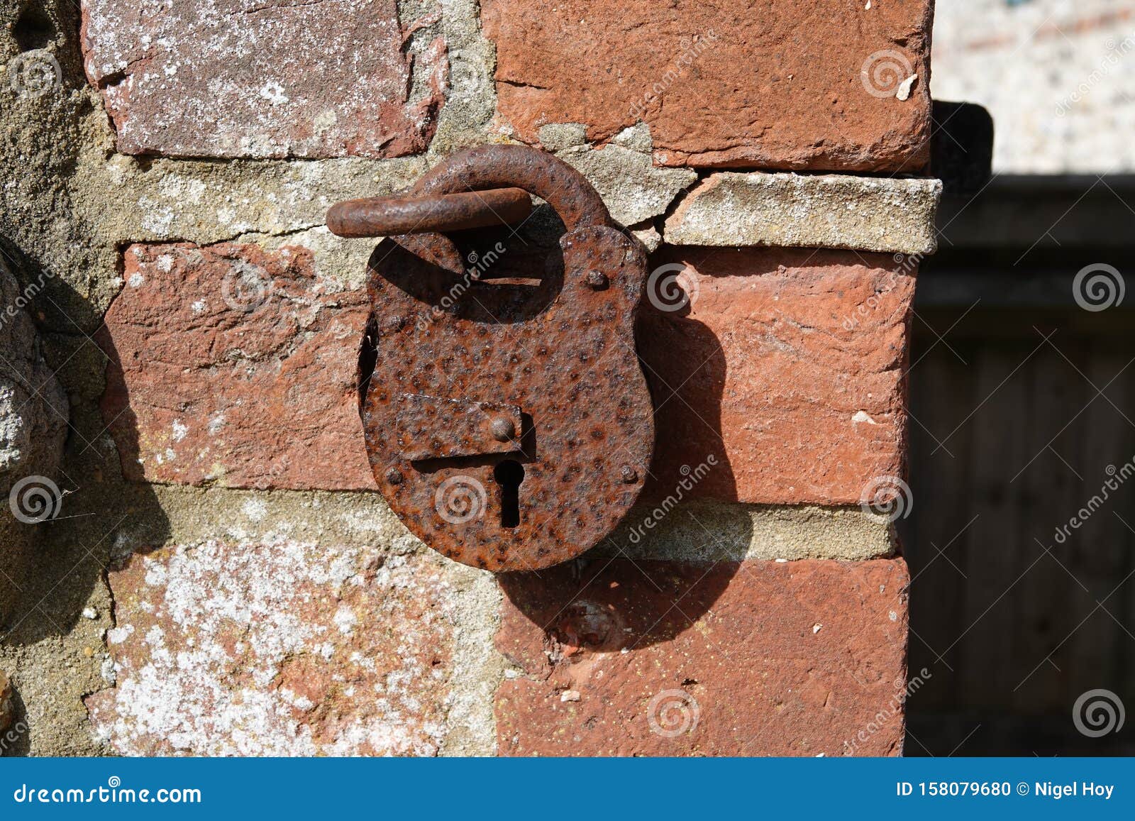 Rusty Padlock Hanging on Brick Wall Stock Photo Image of hanging