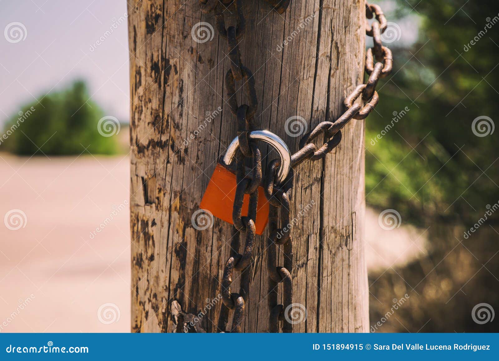 rusty padlock closing the gate