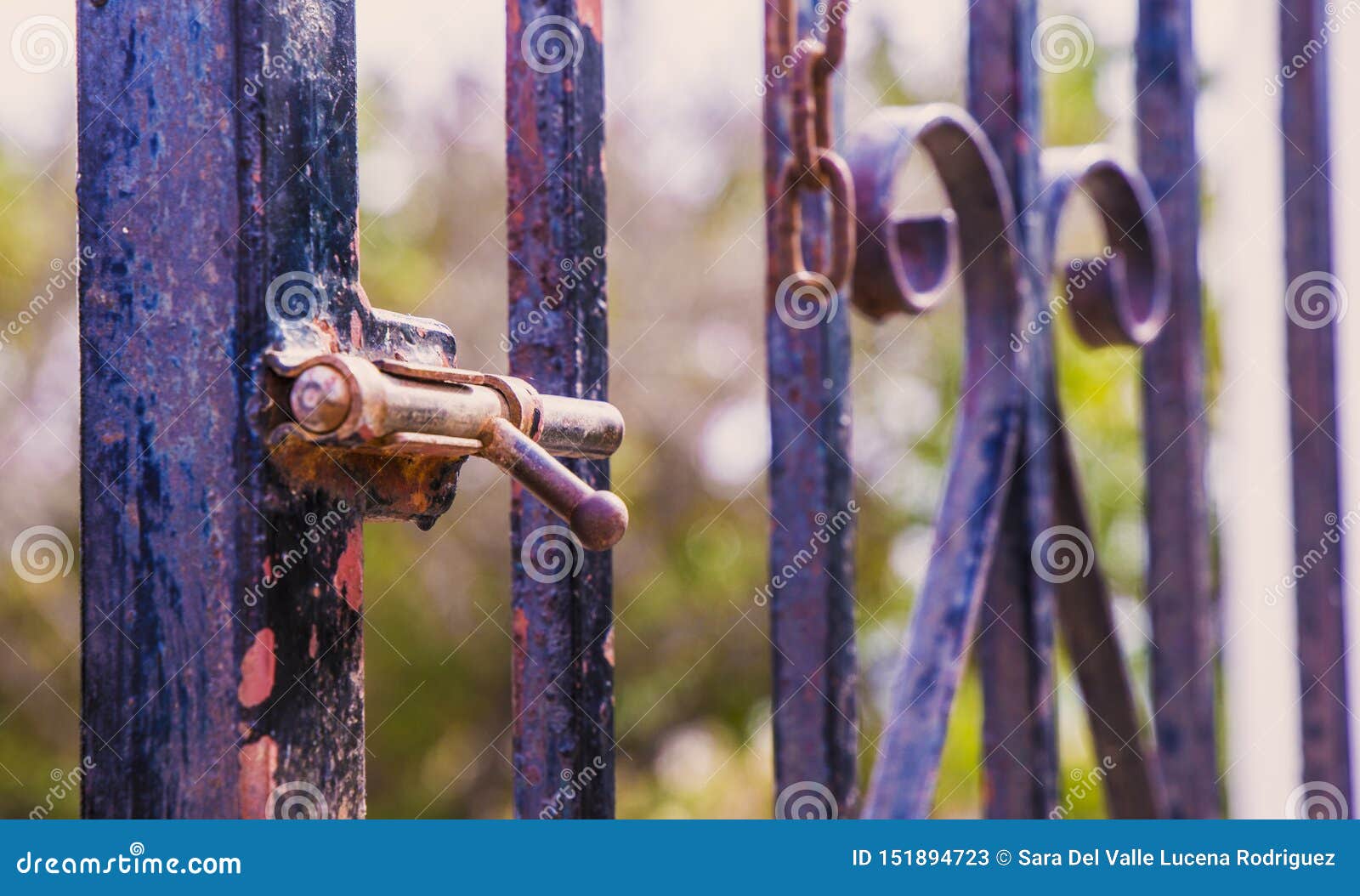 rusty lock closing the gate