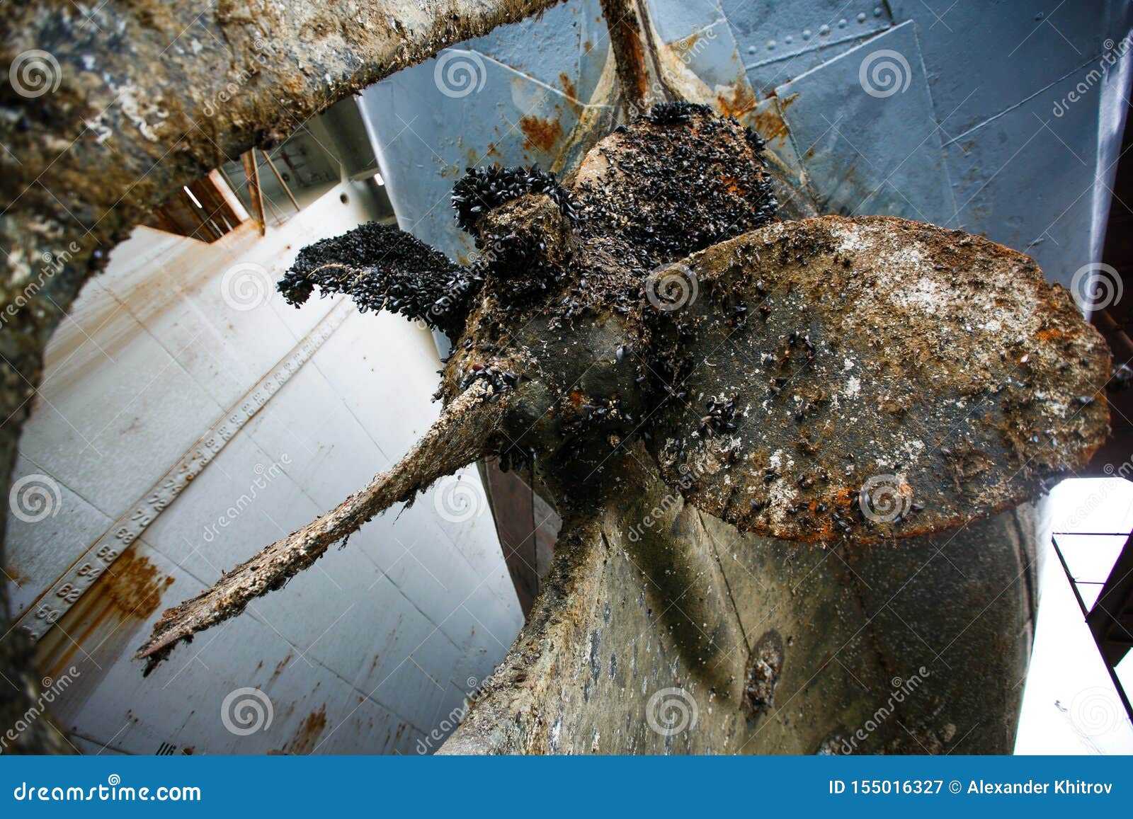 Rusty Ship Covered in Shells during Repair Work Stock Image Image of