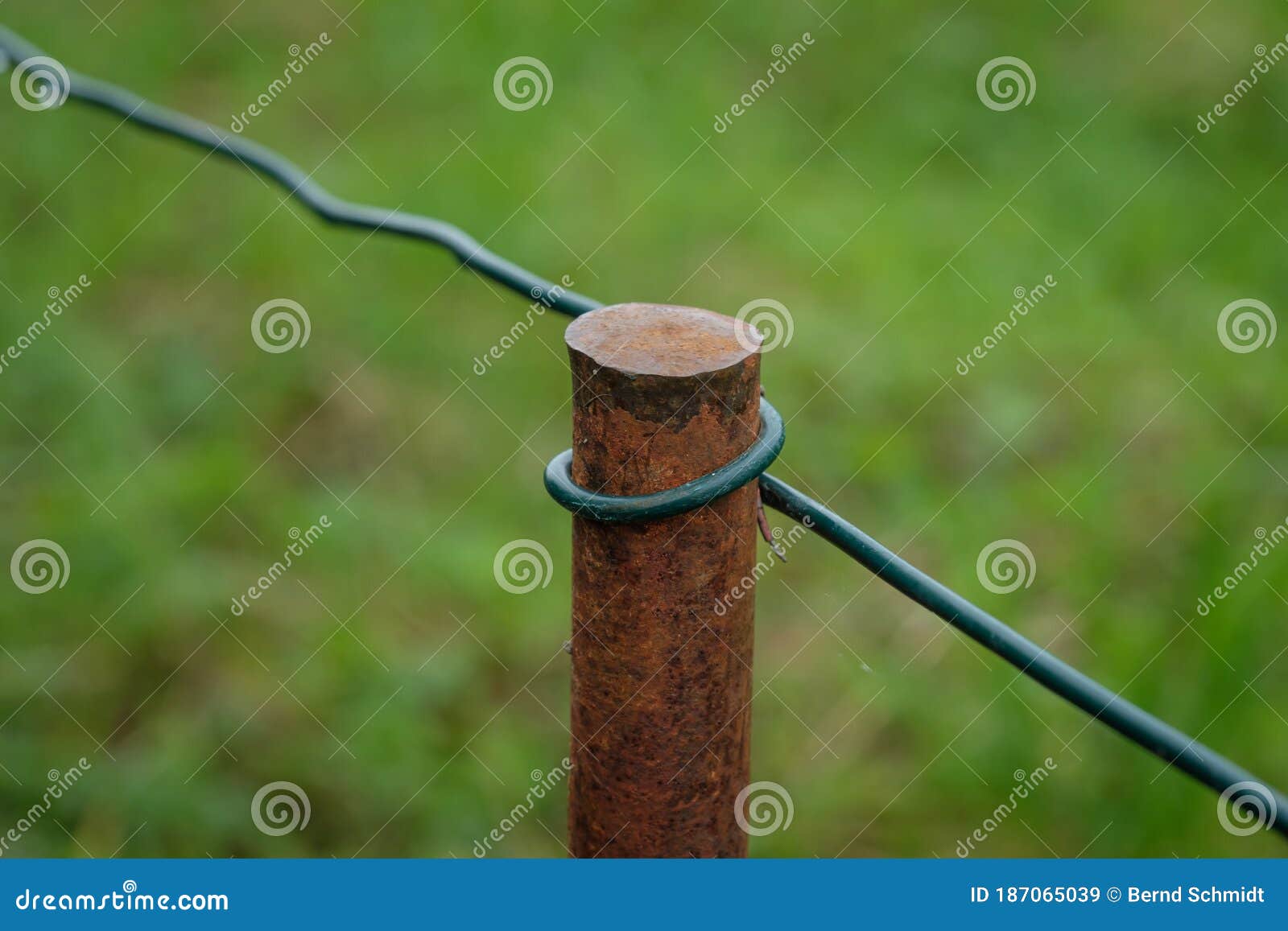 Rusty Steel Post with Wire Fence Stock Image Image of farm, nature