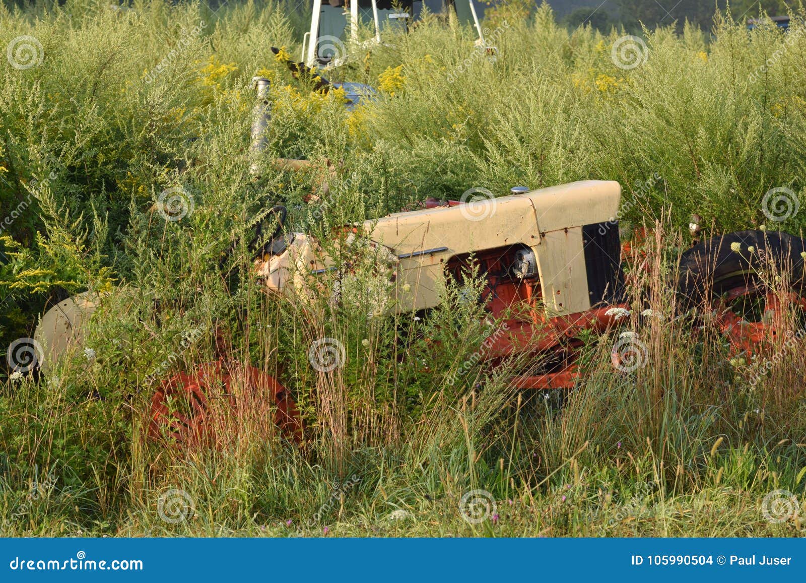 Rusty Tractor Graveyard stock foto. Afbeelding bestaande uit graan