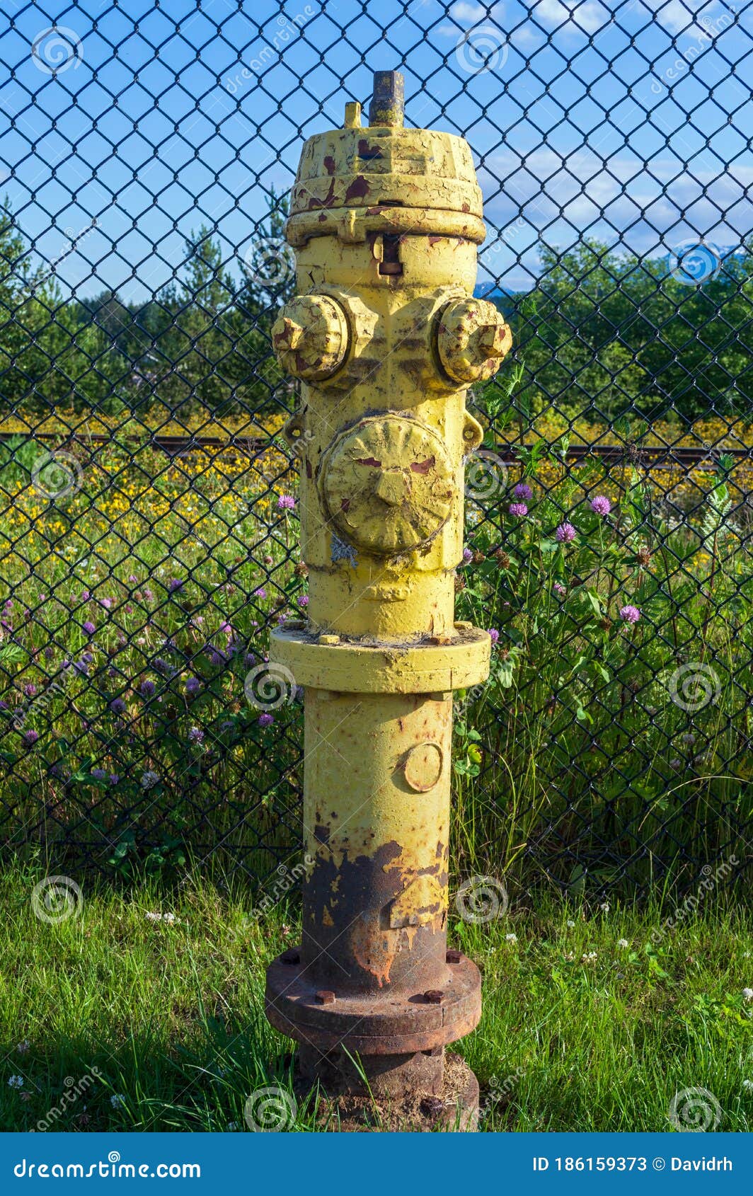 A Rusty Yellow Fire Hydrant by a Fence Stock Image Image of painted