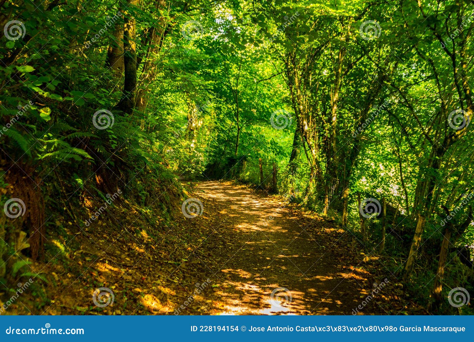 ruta del agua en santesteban