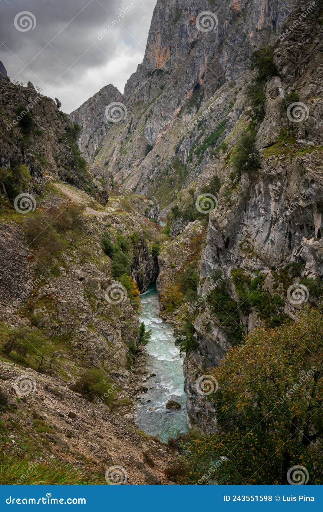 ruta del cares trail nature landscape in picos de europa national park, spain