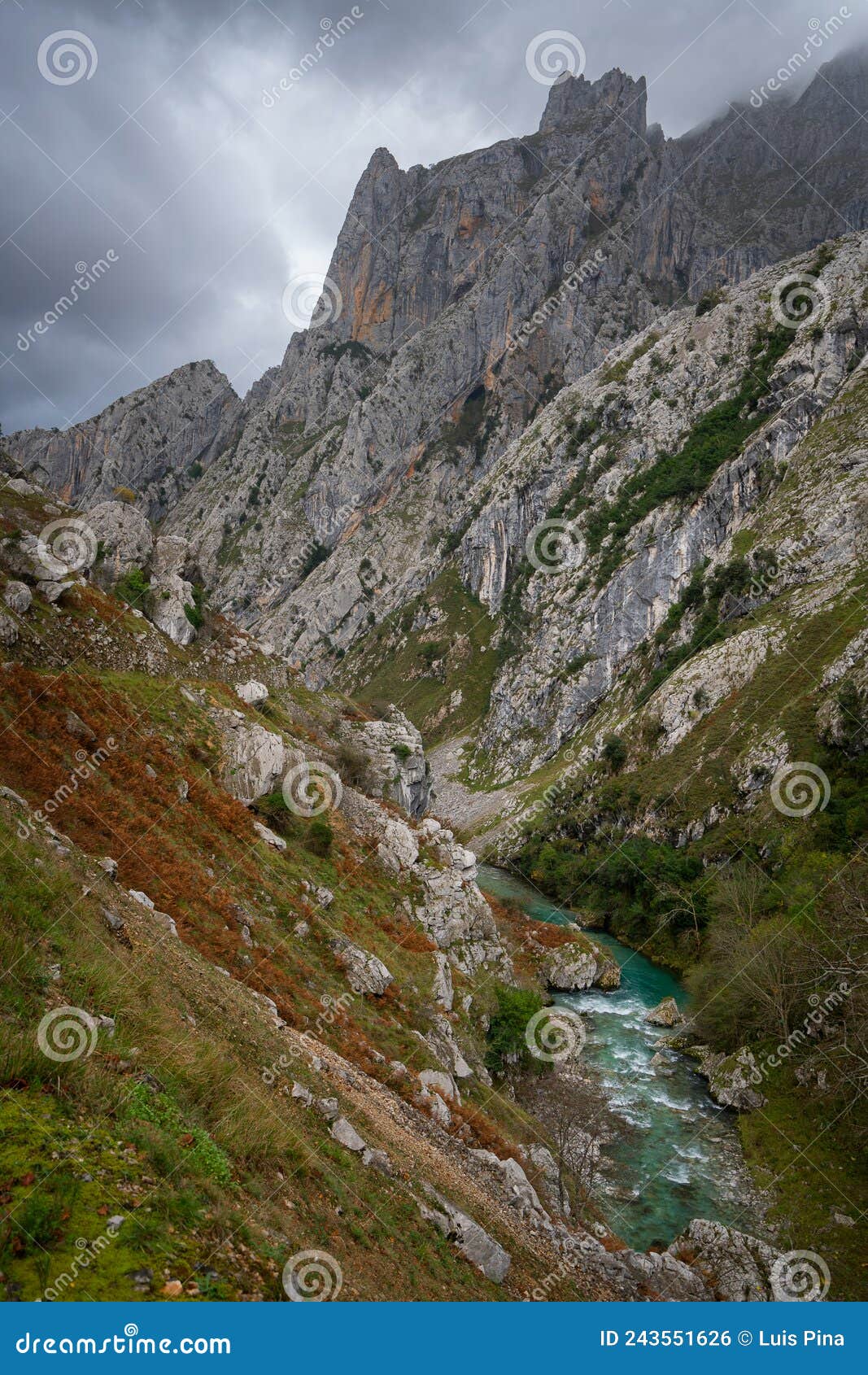 ruta del cares trail nature landscape in picos de europa national park, spain