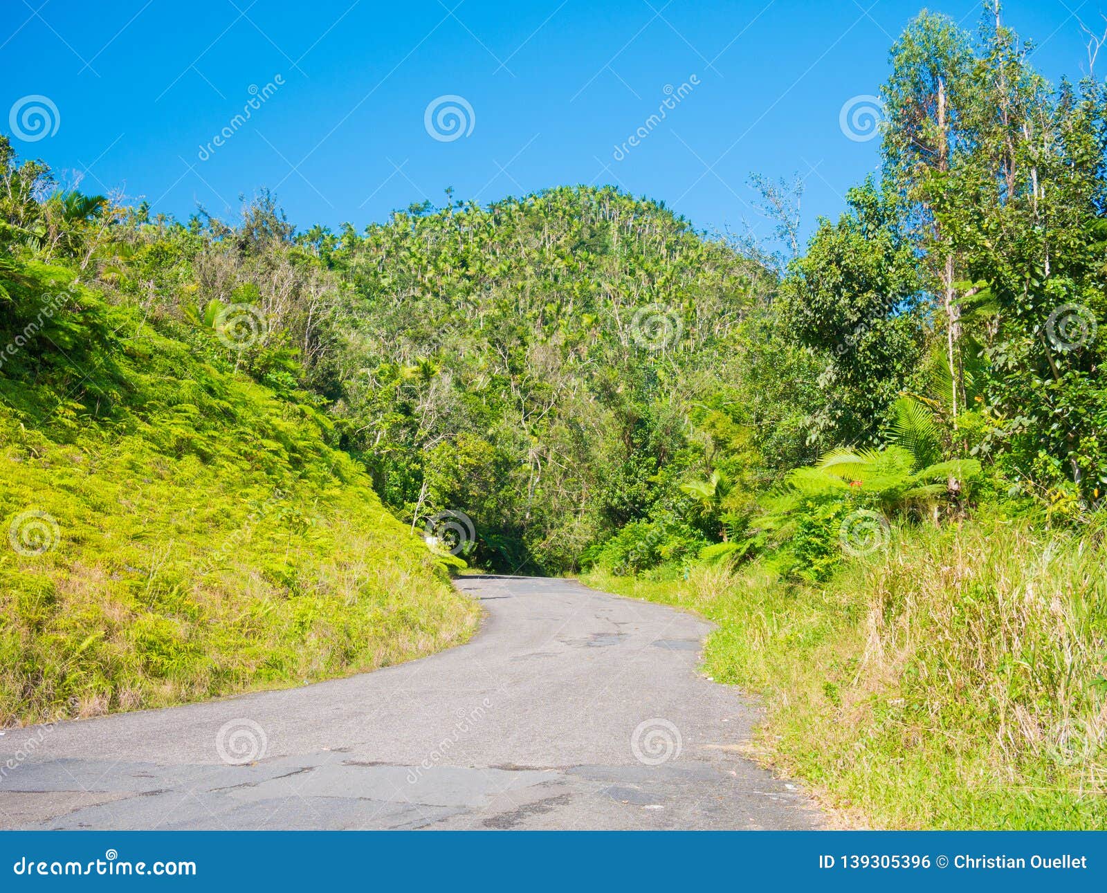 ruta panoramica road in puerto rico. usa. this road is little used by tourists but allows to leave the tourist circuit and offers