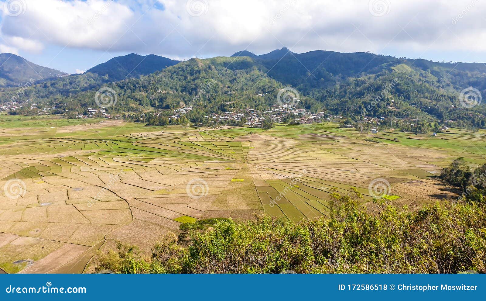 ruteng - panoramic view on iconic spider web rice fields