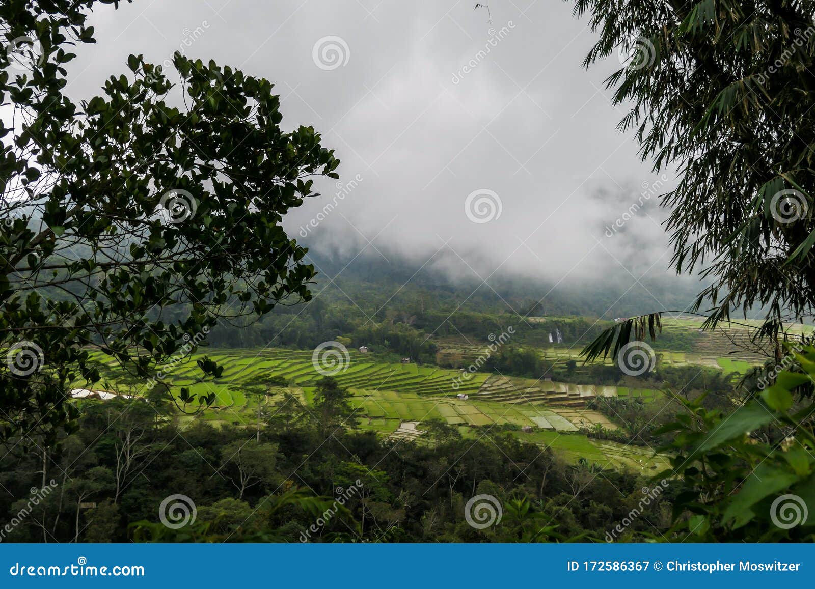 Ruteng Trube Tag Uber Den Lingko Spinnen Netz Reis Feldern Stockbild Bild Von Asien Grun 172586367