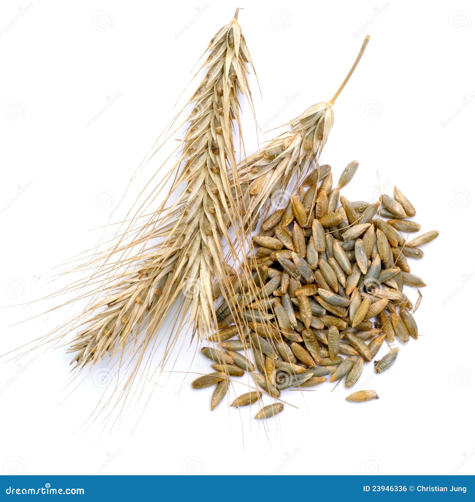 Rye stock photo. Image of meal, wholemeal, flour, food 23946336