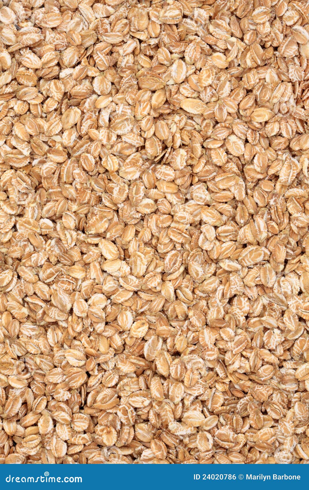 Rye Oat Flakes stock photo. Image of health, cereal, vegetarian 24020786
