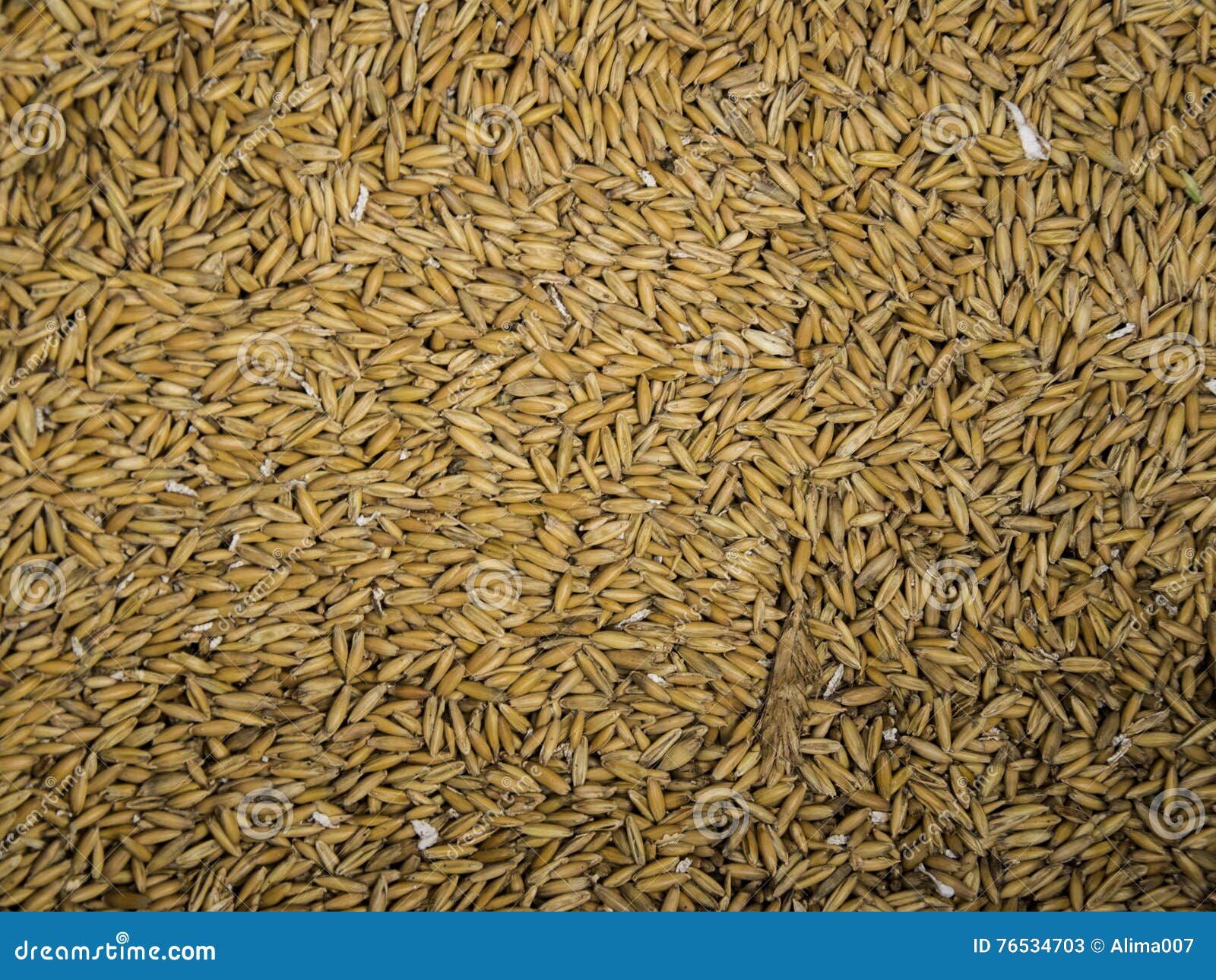 Rye seed texture stock image. Image of bread, food, nutritional 76534703