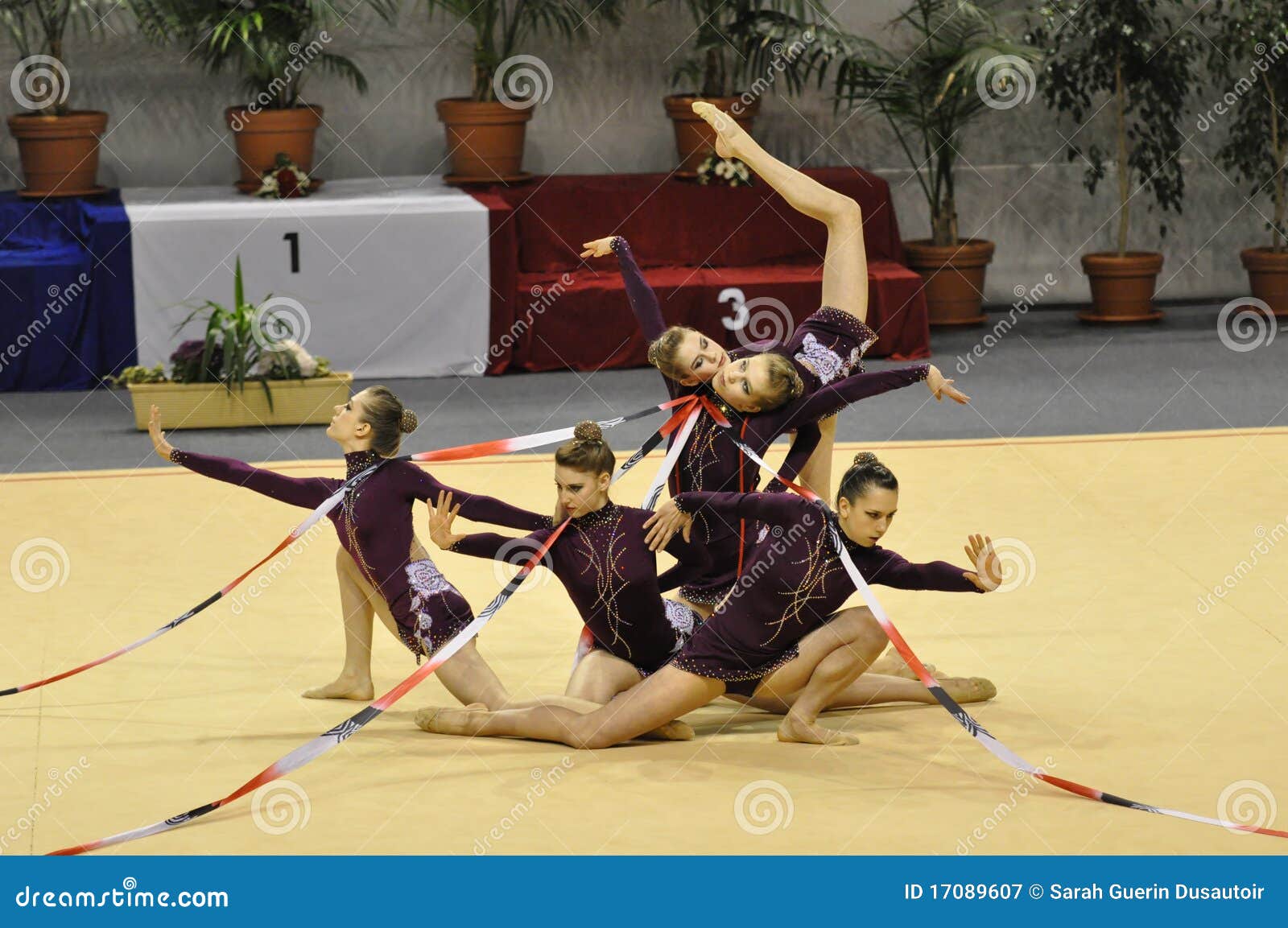 Rythmic Gymnastic Canadian Team Editorial Photography Image of