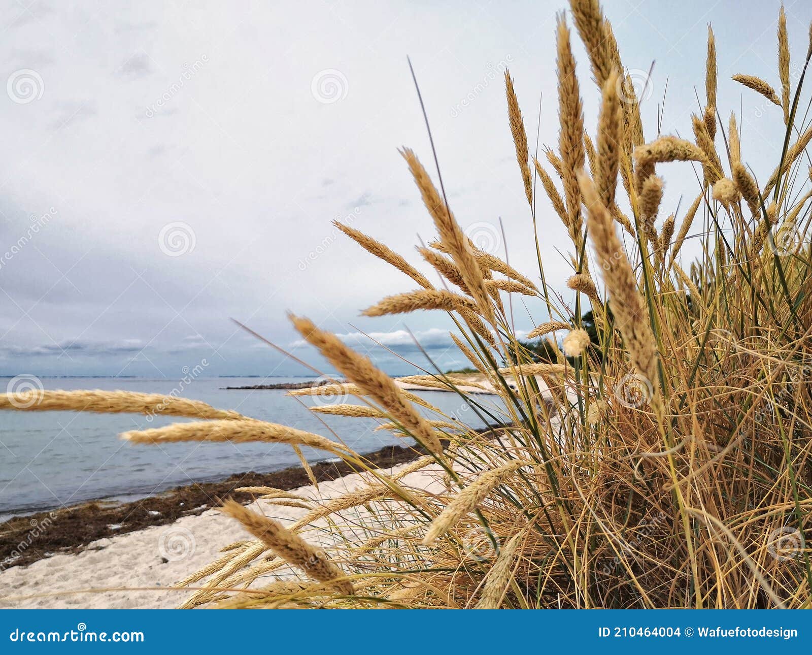 rÃÂ¼gen lagoon landscape