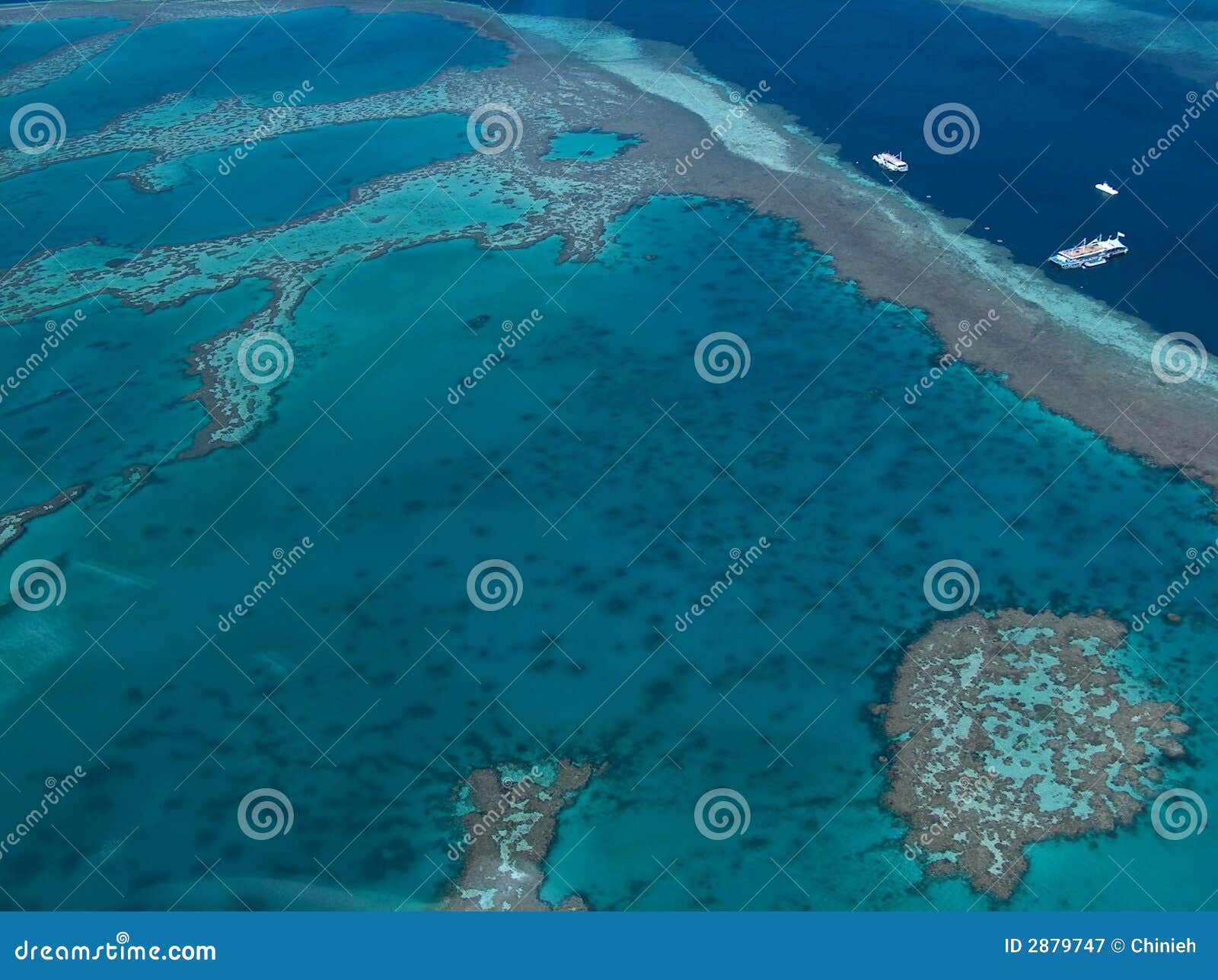 Projectile aérien de récif de barrière grand, îles de Whitsunday, Australie