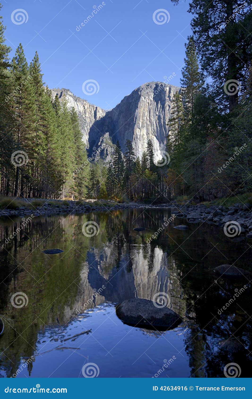 Réflexion d'automne de vallée de Yosemite. Vallée de Yousemite en automne, réflexion de point de Colombie en rivière de Merced