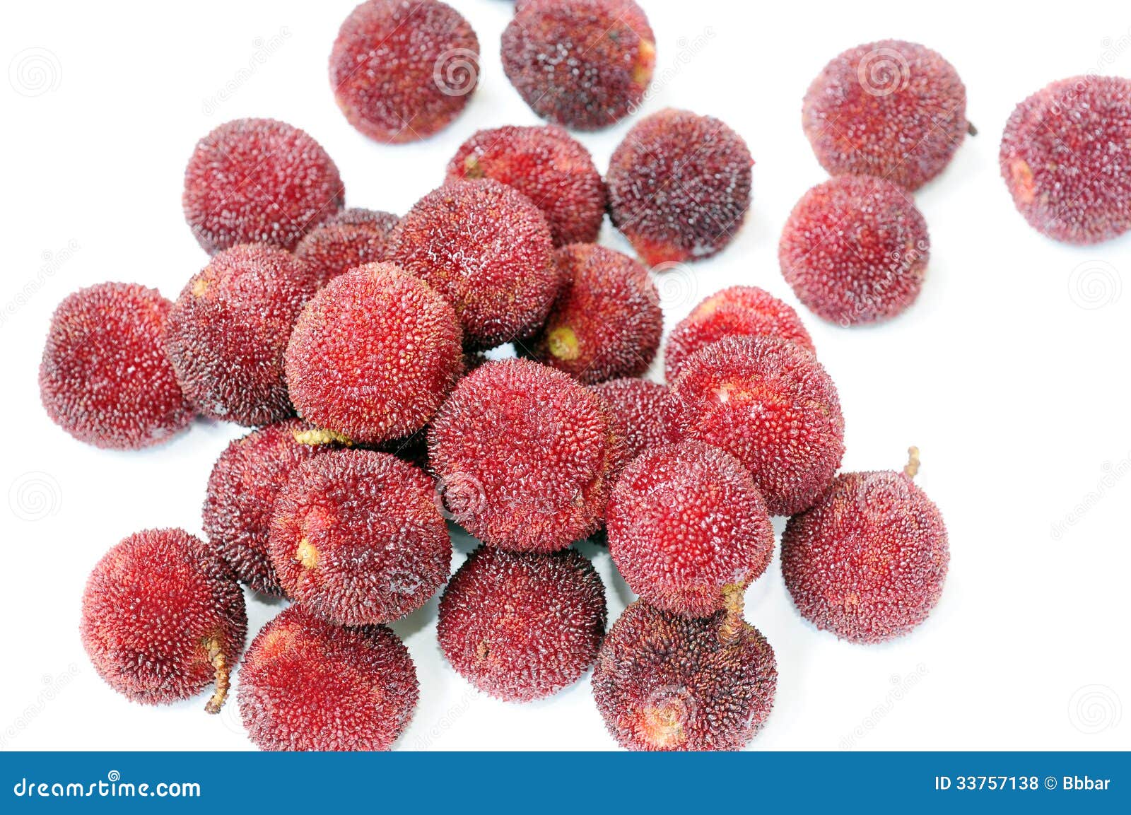 Closeupsikt av nya röda bayberryfrukter