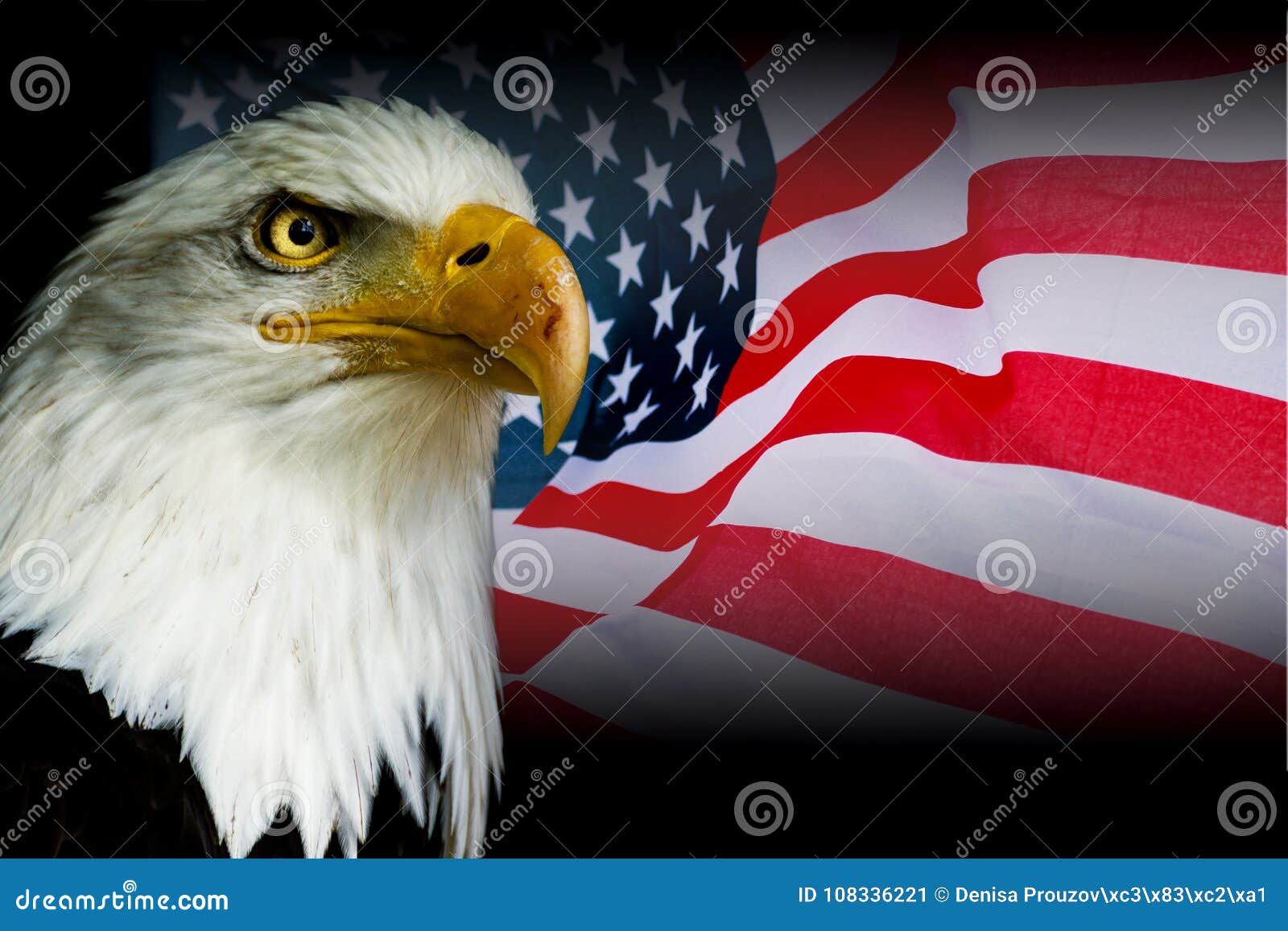 Símbolo Americano - Bandera De Los .U. Con El águila Imagen de archivo  - Imagen de animal, america: 108336221
