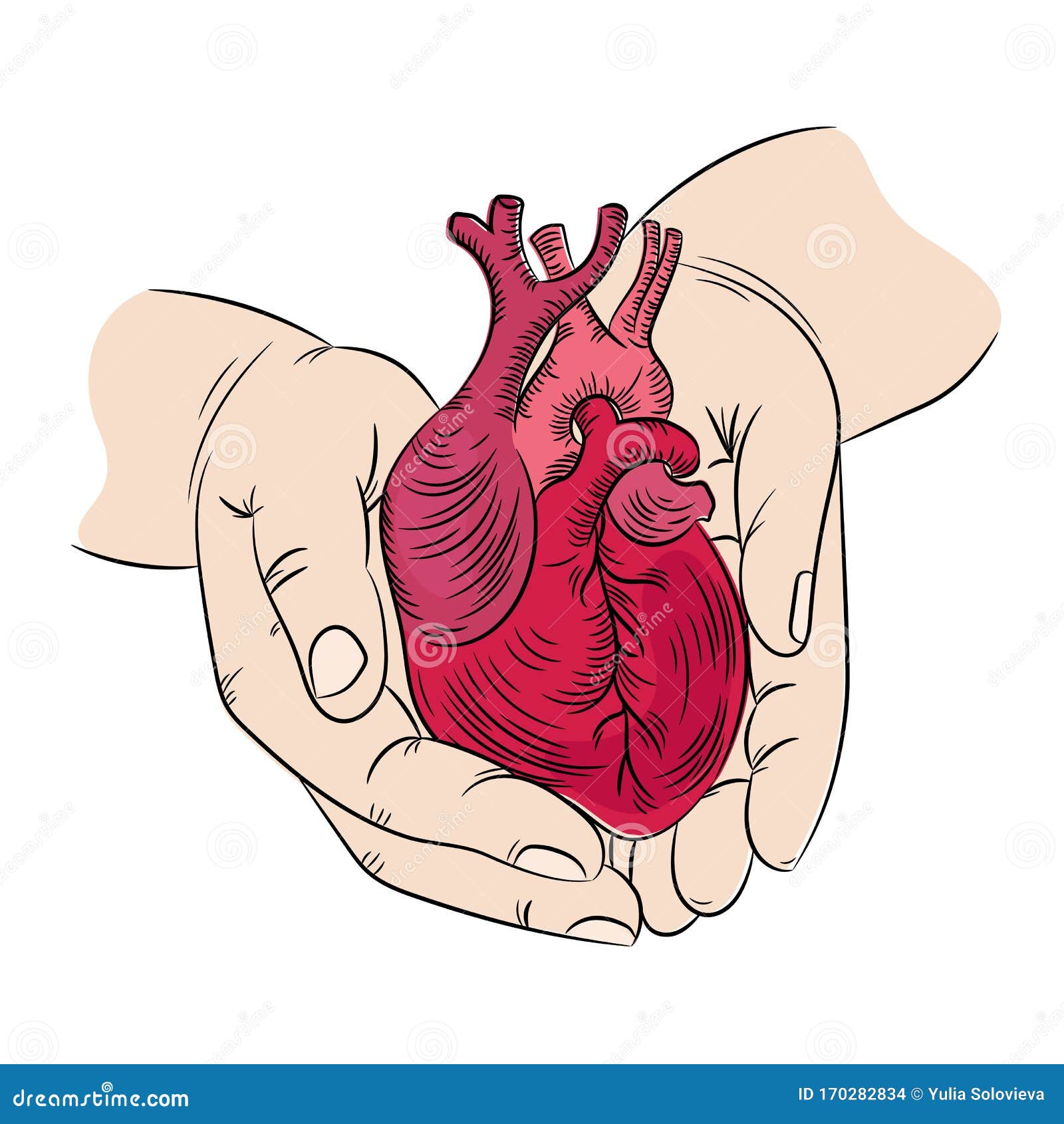 Símbolo De Salud Del CORAZÓN Y MANOS Medicina Vector De Dibujo De Mano  Humana Ilustración del Vector - Ilustración de cuidado, sano: 170282834