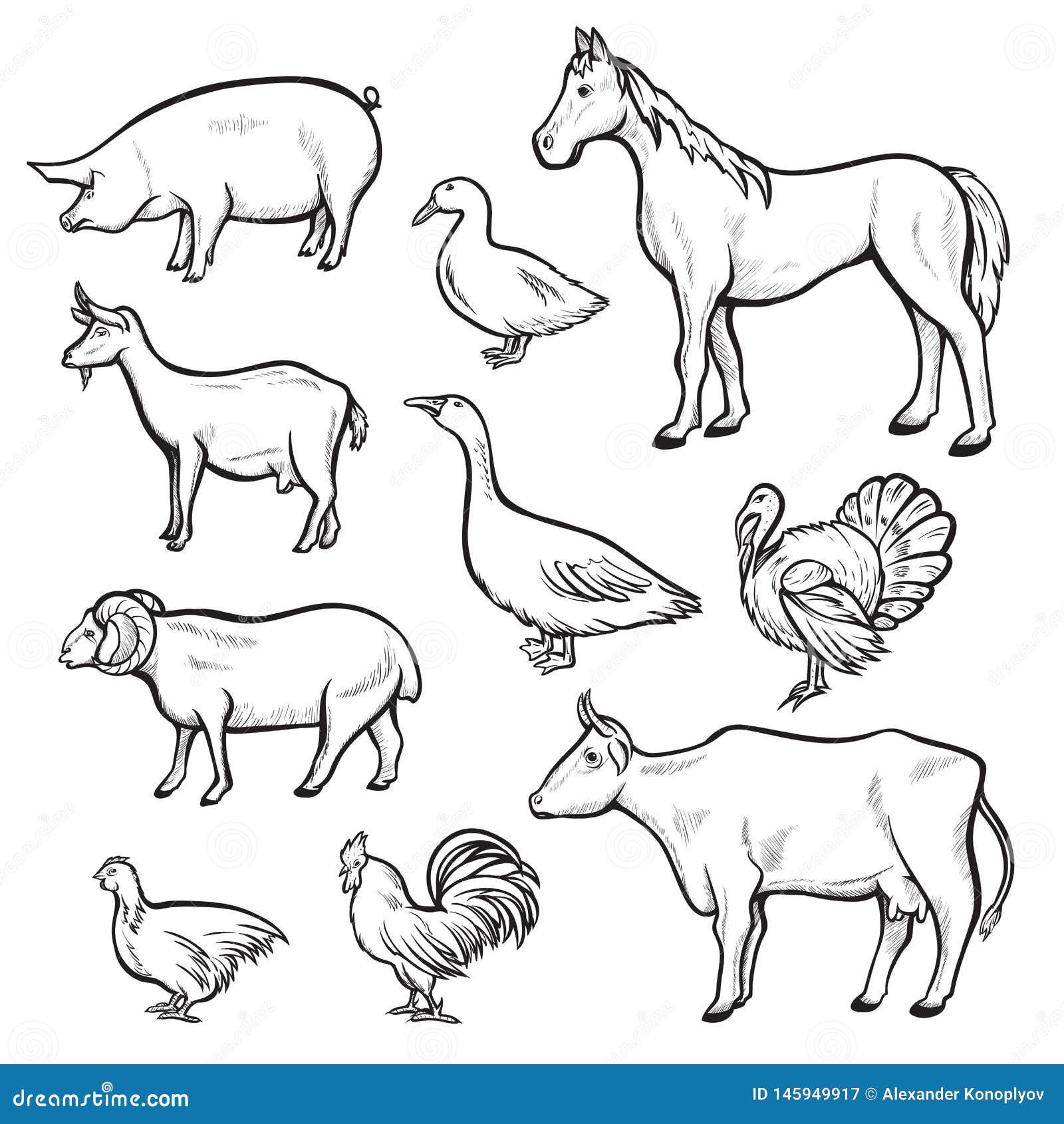 Símbolo Del Sistema, Nacional Y De La Agricultura Del Dibujo Del Animal Del  Campo Ilustración del Vector - Ilustración de conejito, plano: 145949917