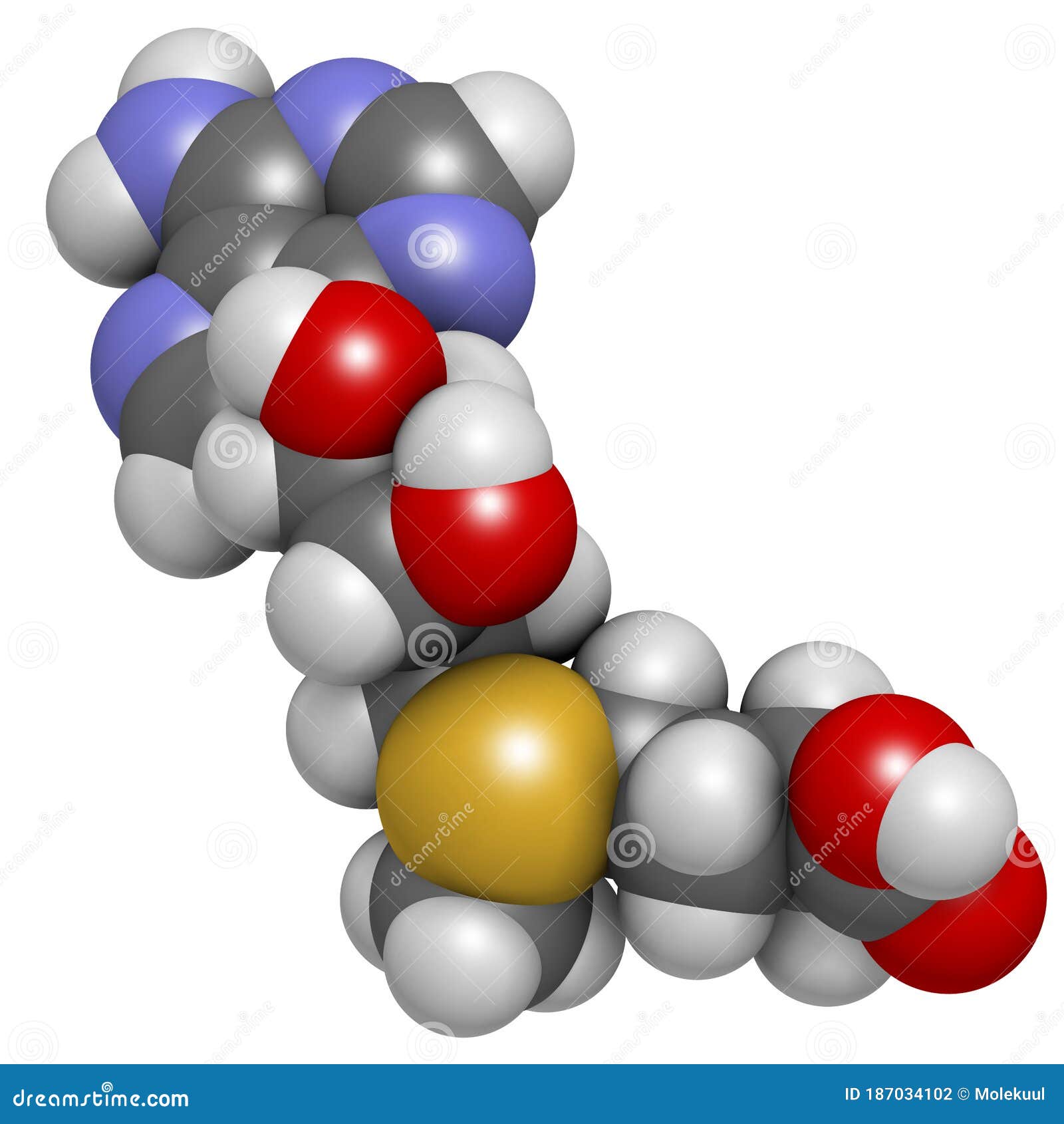 s-adenosyl methionine (sam) molecule. essential in several metabolic pathways. often found in dietary supplements