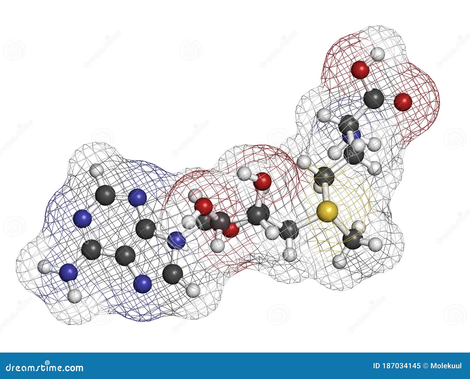 s-adenosyl methionine (sam) molecule. essential in several metabolic pathways. often found in dietary supplements
