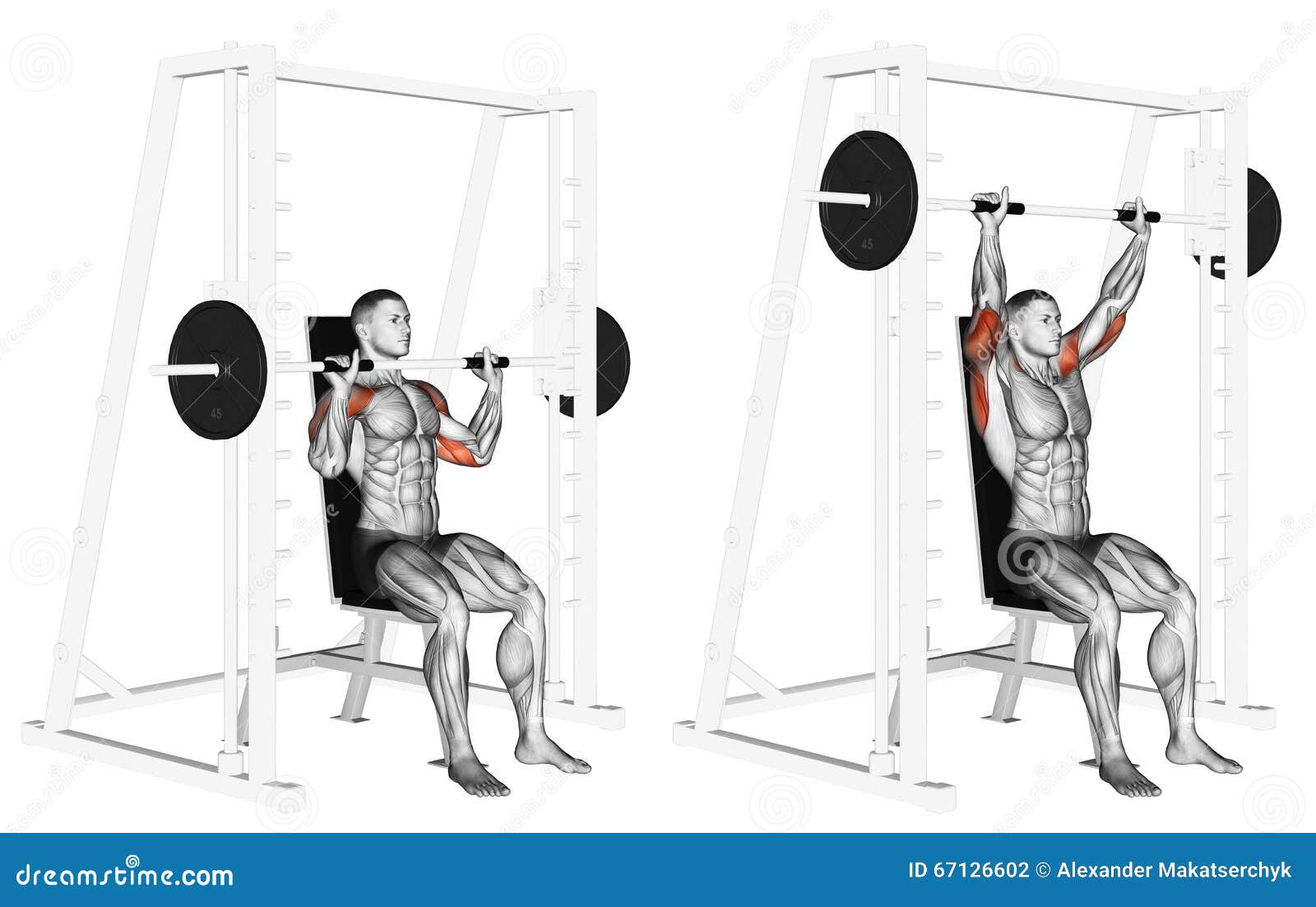 S'exercer Smith Machine Shoulders Press Illustration Stock