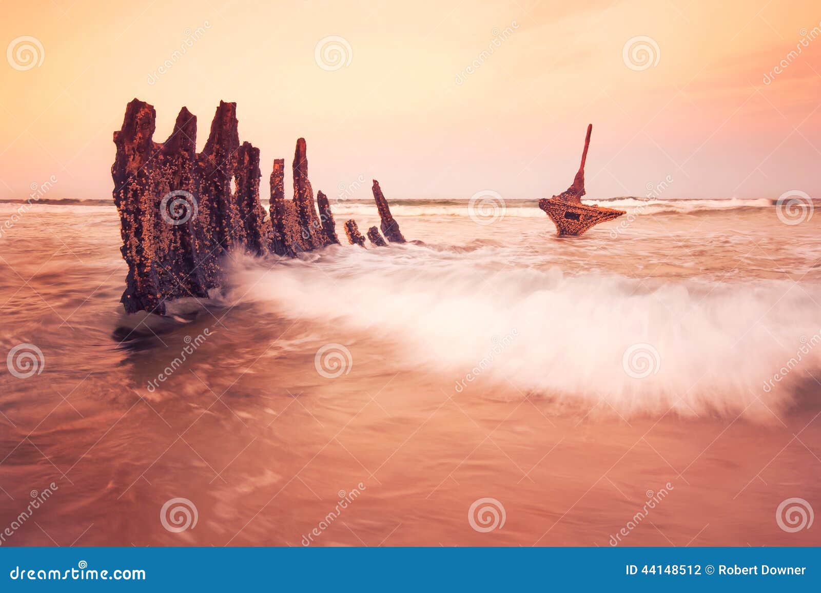 s.s dicky shipwreck