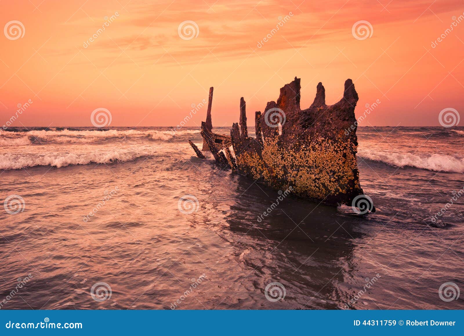 s.s dicky shipwreck