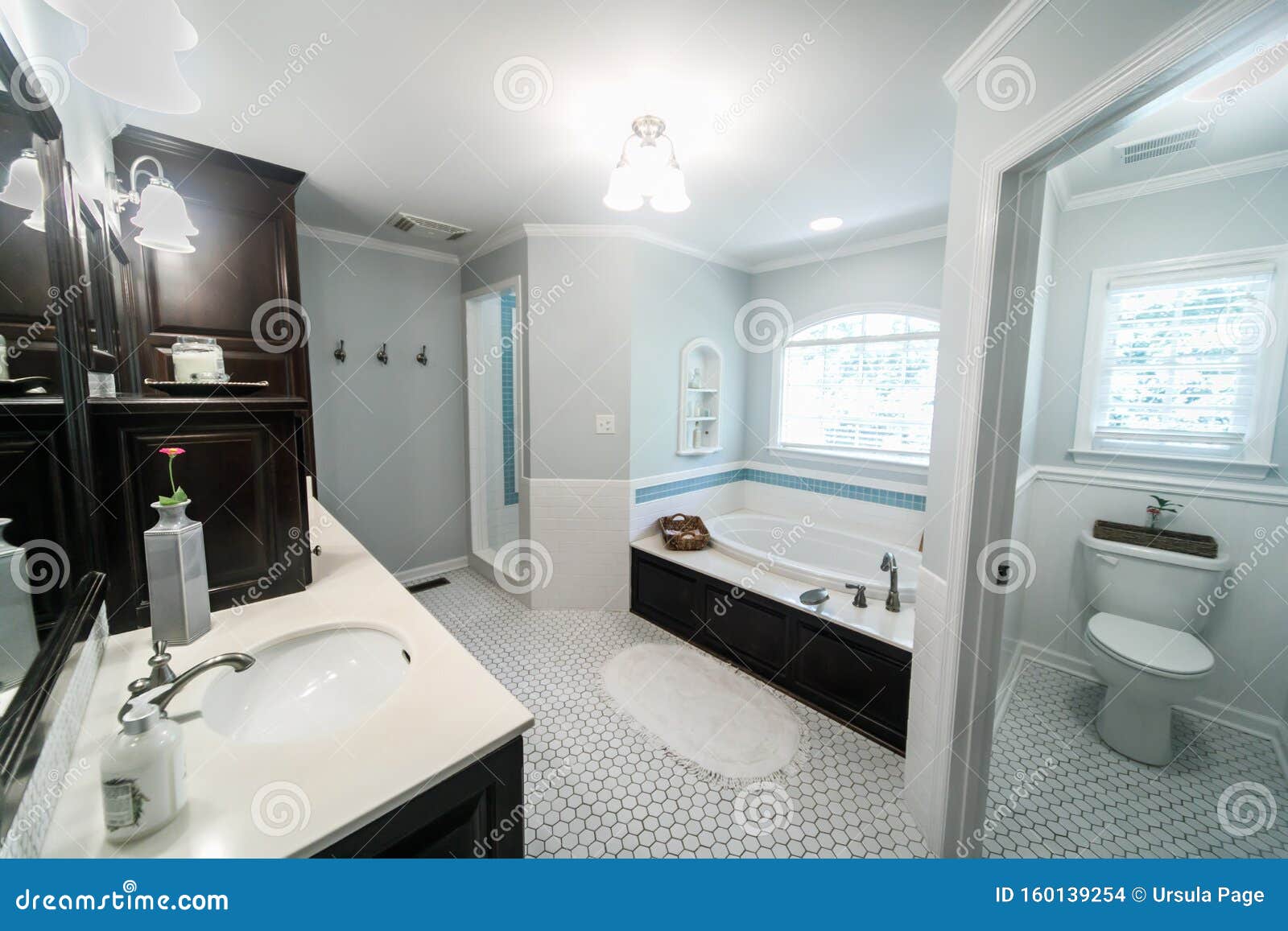 1950 S Style Bathroom With Tile Floor And Dark Brown Cabinets In White And Blue Accents Stock Photo Image Of Bright Accents 160139254