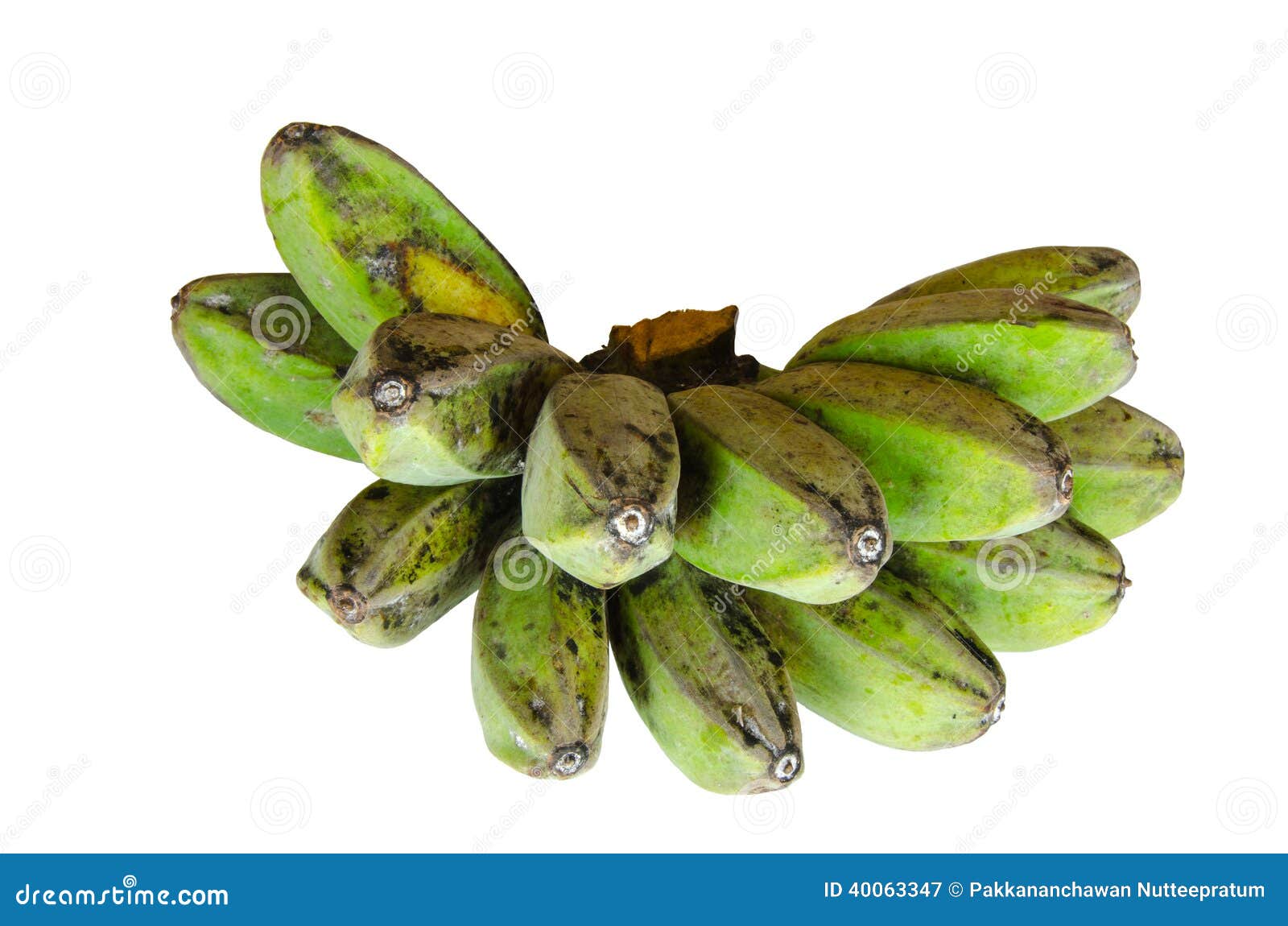 Saba banana stock image. Image of nature, peel, organic 40063347