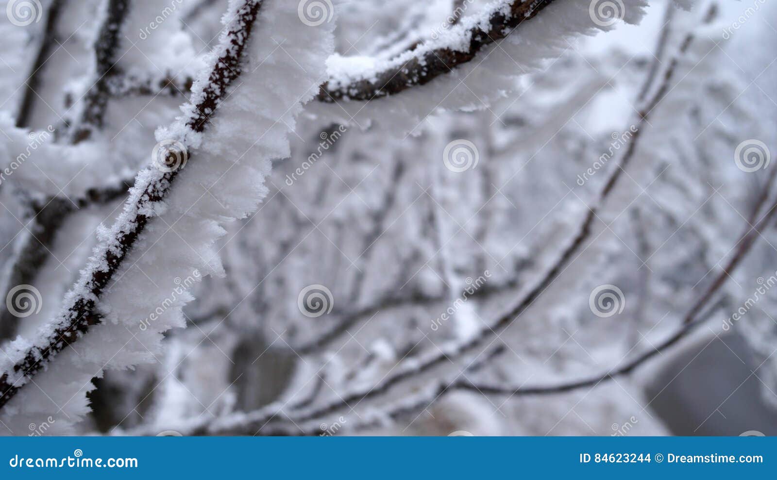 15 degrees temperature