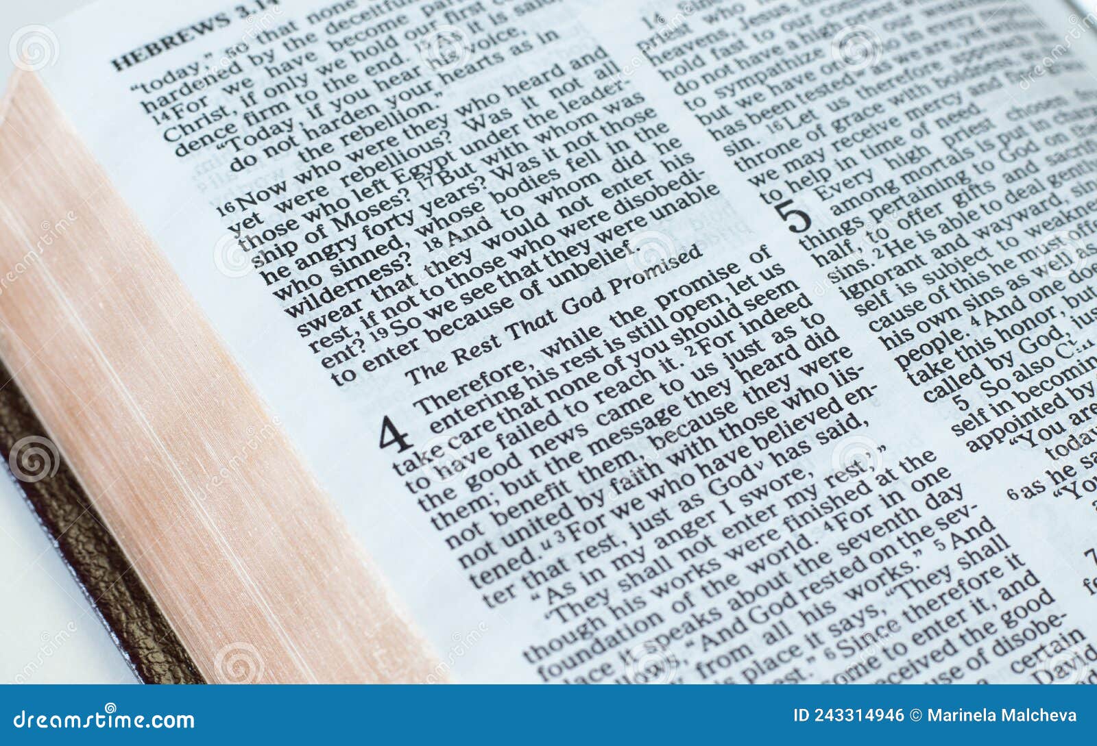 sabbath seventh-day rest fourth commandment verses in an open holy bible book