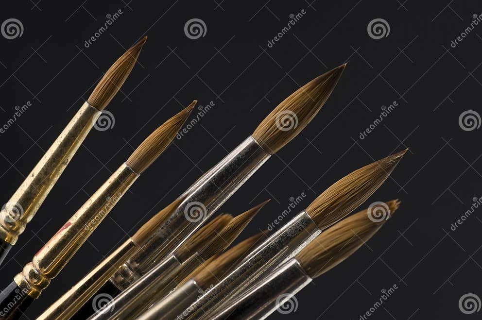 Sable Paint Brushes stock photo. Image of brush, watercolor 16783334