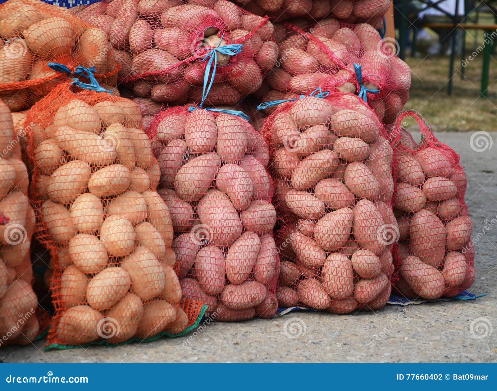 Sacchi Per Patate Da 500 Pezzi - Misure Multiple Per Frutta, Verdura E Non Solo!