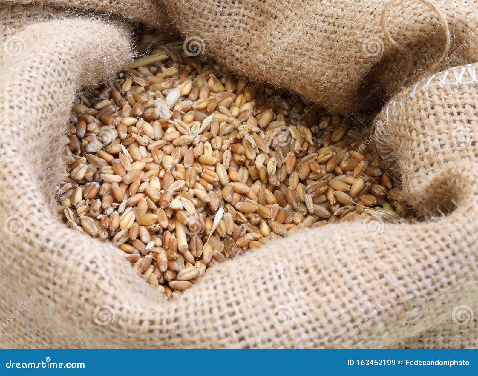 Sack with Ancient Grains To Make Flour and Bread Stock Image Image of