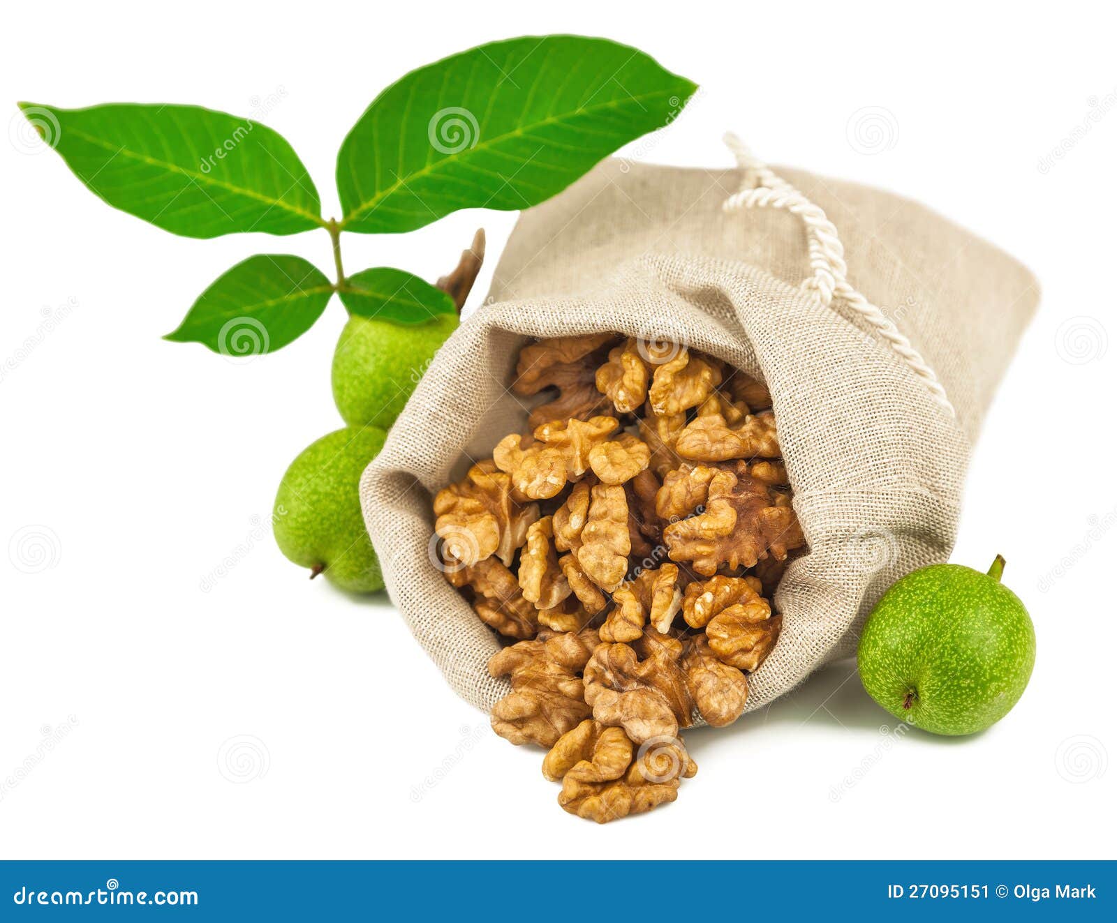 sack of purified walnut and green walnut fruit